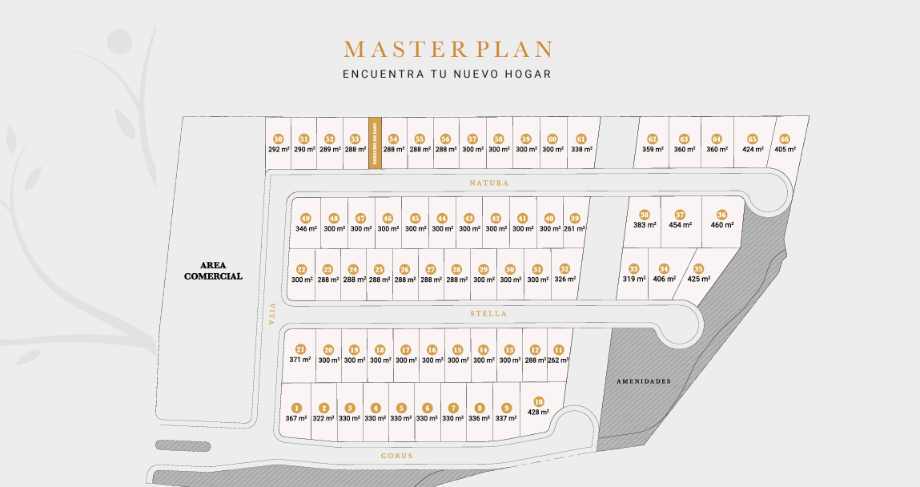 ANTIGUO CAMINO VILLA DE SANTIAGO, Monterrey, Nuevo León, 64985, Mexico, 1 Bedroom Bedrooms, ,Residential,For Sale,ANTIGUO CAMINO VILLA DE SANTIAGO,1628176