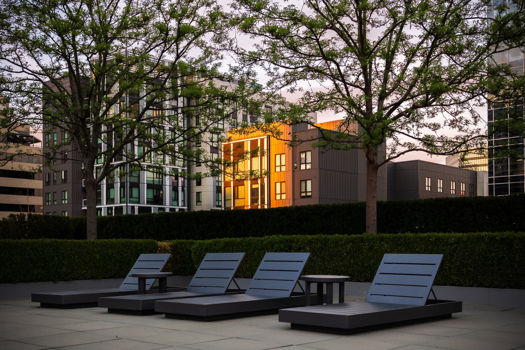  A Downtown Salt Lake City Rooftop Oasis - 物件實景