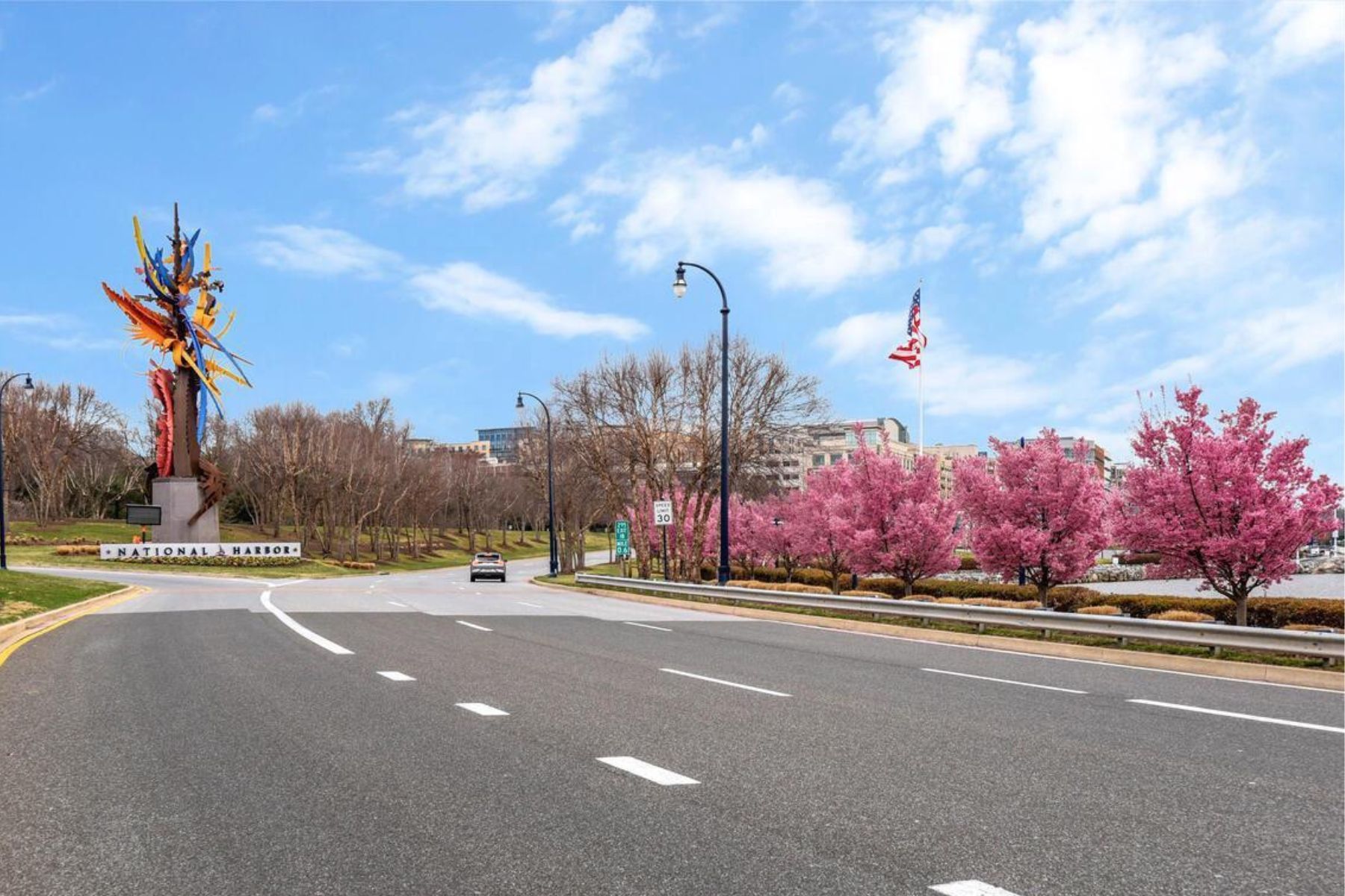  155 Potomac Passage, National Harbor, MD, 20745 - 物件實景