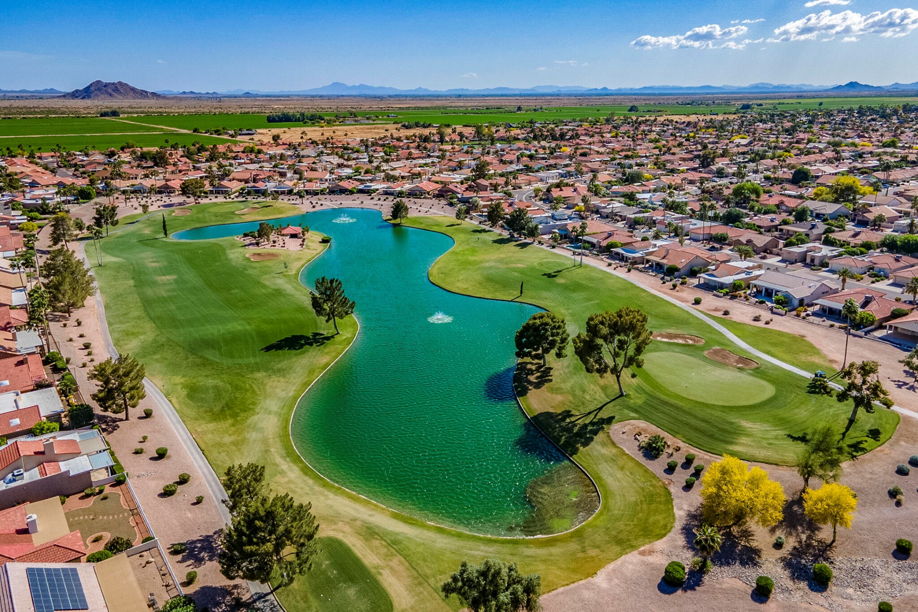  26202 S Flame Tree Drive  Sun Lakes, AZ - 物件實景