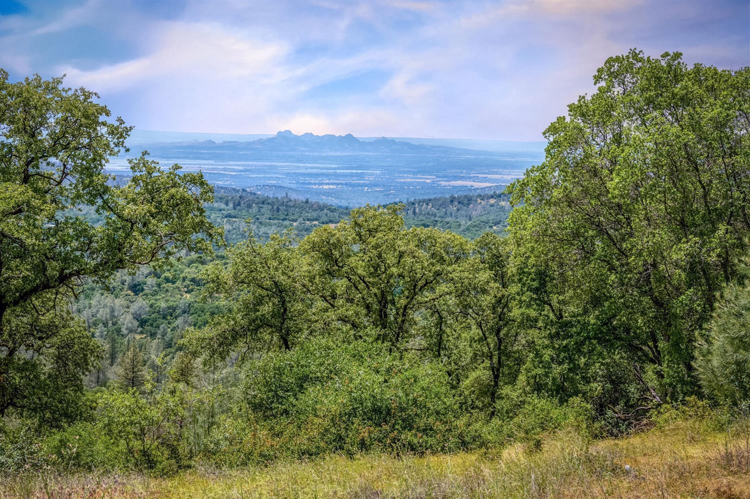 Oregon House, California, 95962, United States, 4 Bedrooms Bedrooms, ,3 BathroomsBathrooms,Residential,For Sale,1976473