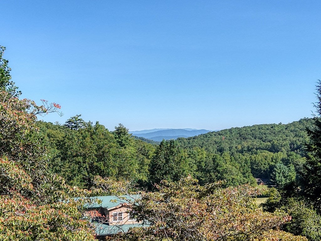 Blairsville, Georgia, 30512, United States, 2 Bedrooms Bedrooms, ,2 BathroomsBathrooms,Residential,For Sale,1932142
