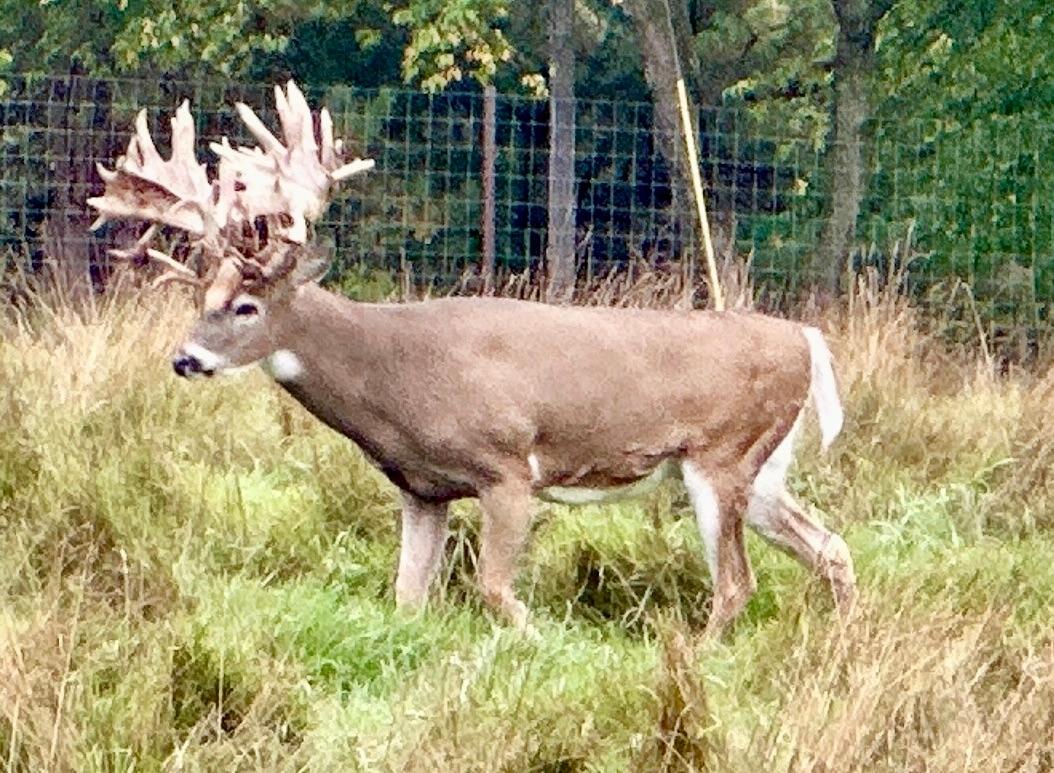 Lake Tomahawk, Wisconsin, 54487, United States, ,Residential,For Sale,1973874