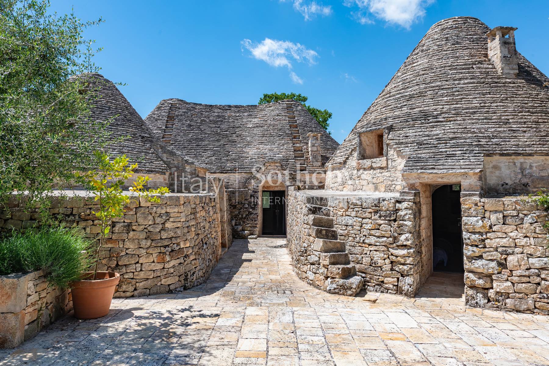  Exclusive historic masseria surrounded by nature - 物件實景