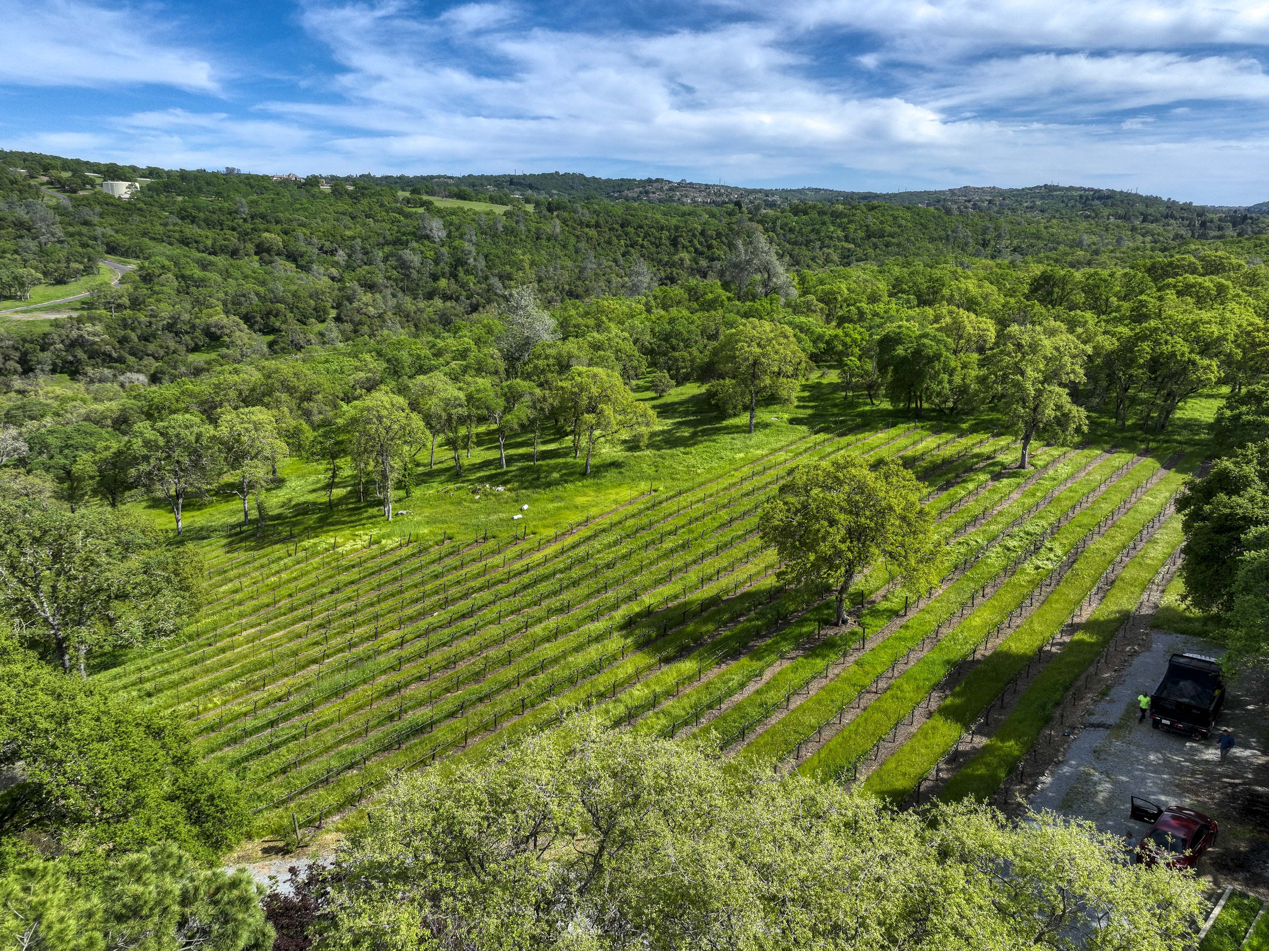  2020 Kaila Way, El Dorado Hills, CA 95762 - 物件實景