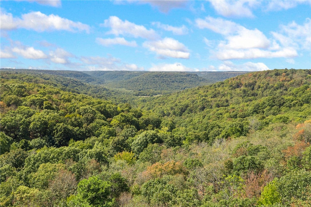 Cherry Tree Ln, Harrison, AR 72601 #1