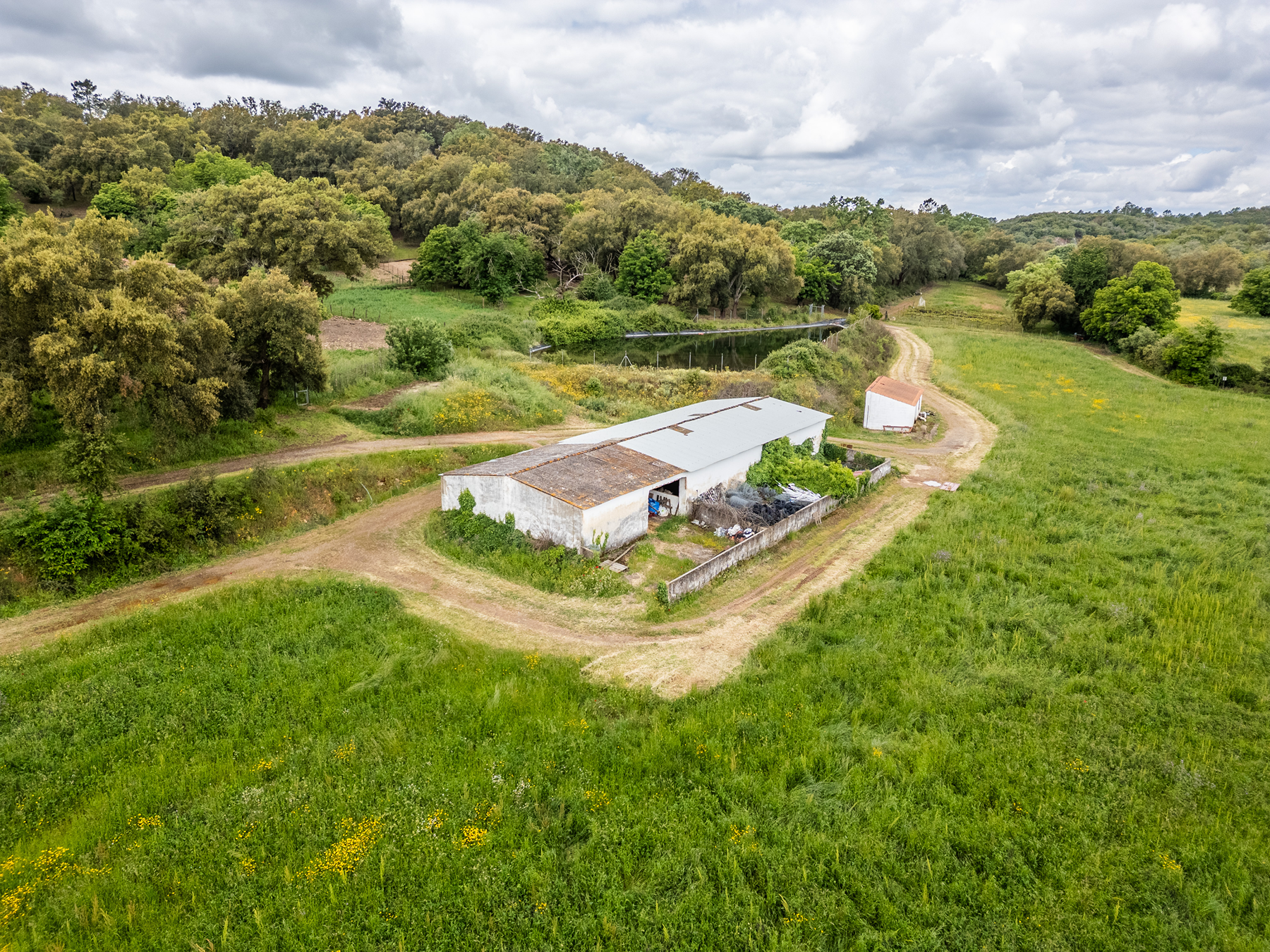  Cattle, equestrian, agricultural, and ecological farm in Aracena