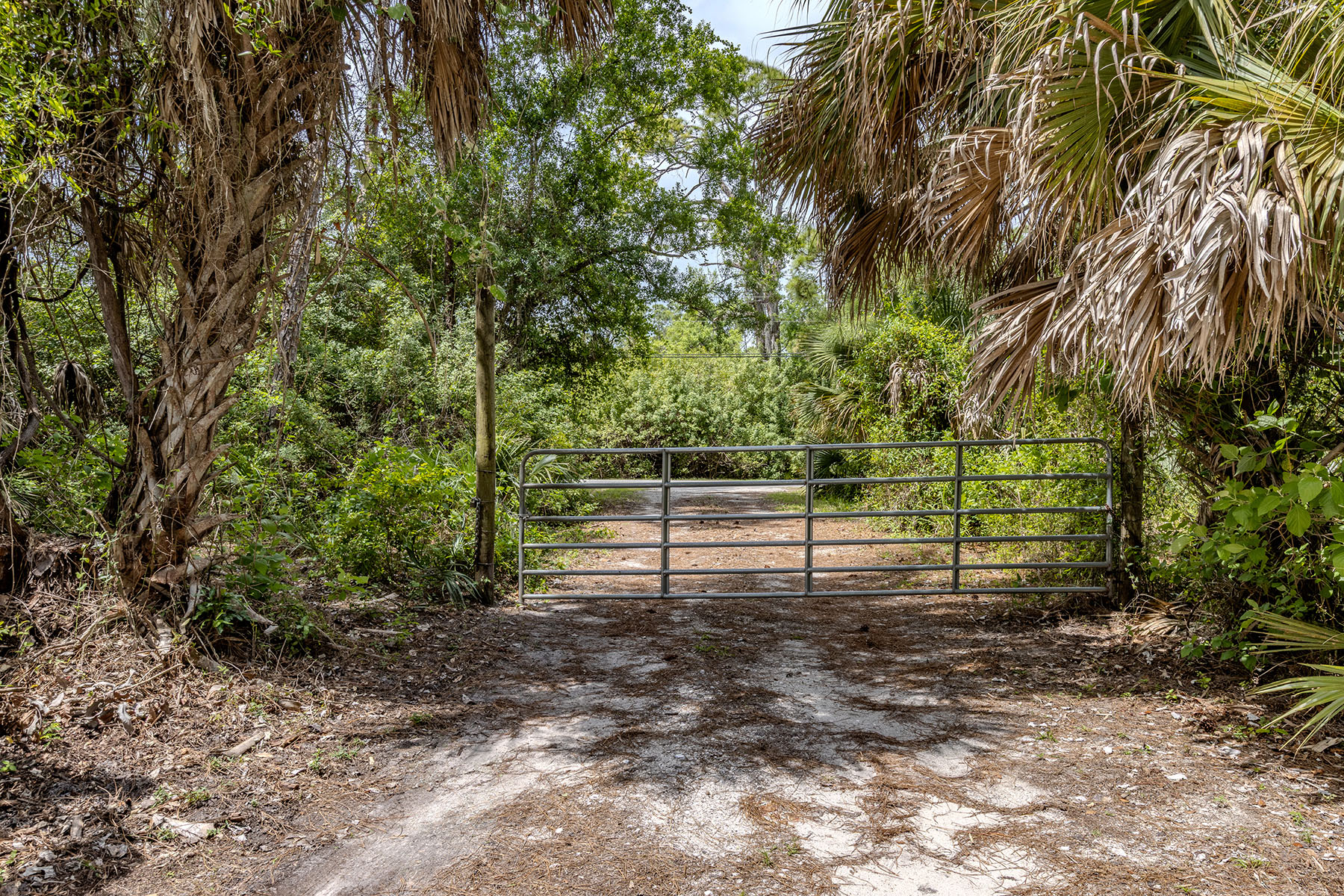  VENICE FARMS - 物件實景