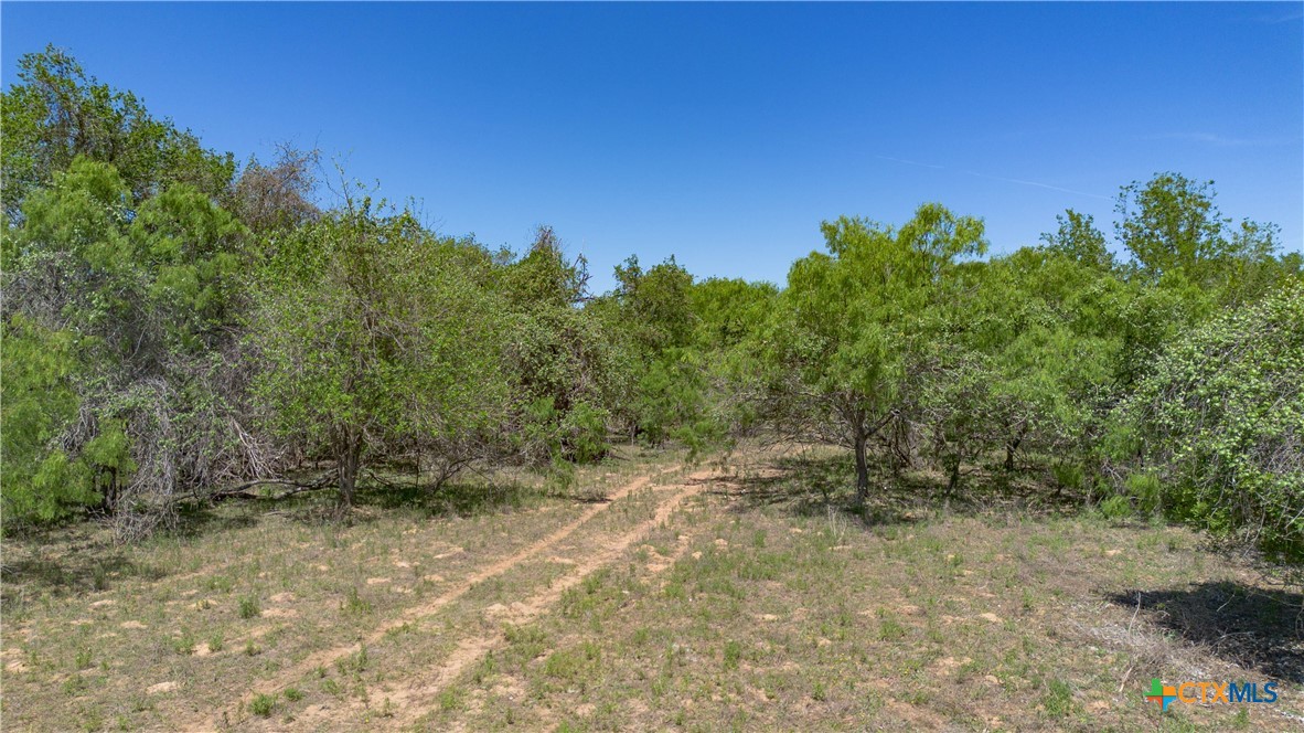 Seguin, Texas, 78155, United States, ,Land,For Sale,2048834