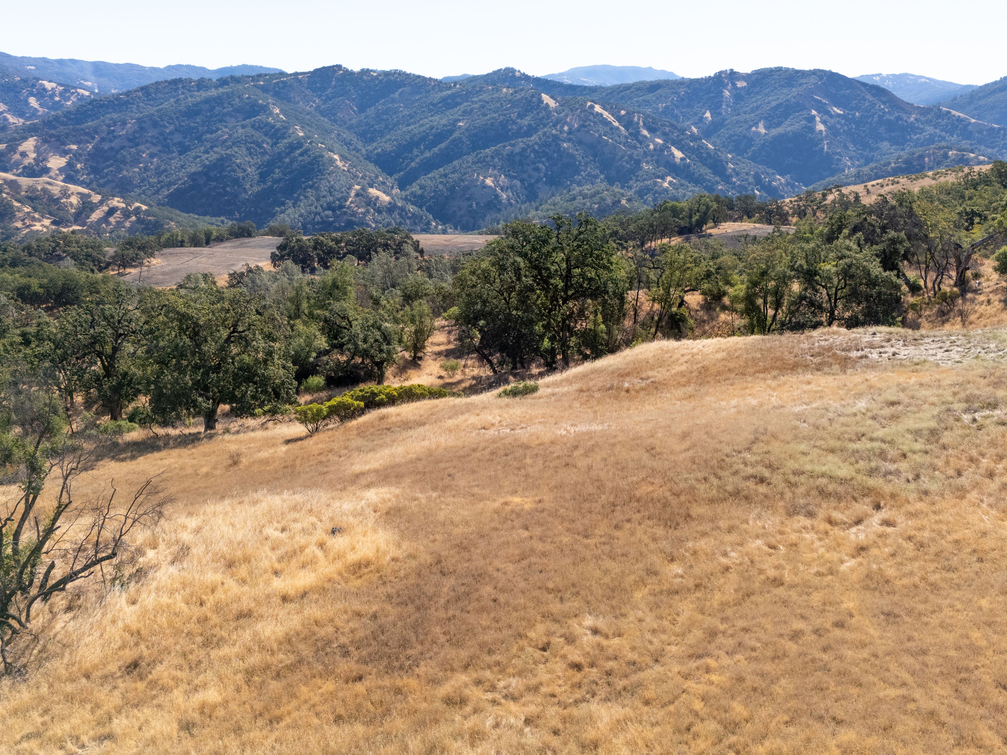  Very Rare Opportunity Alexander Valley Ranch - 物件實景