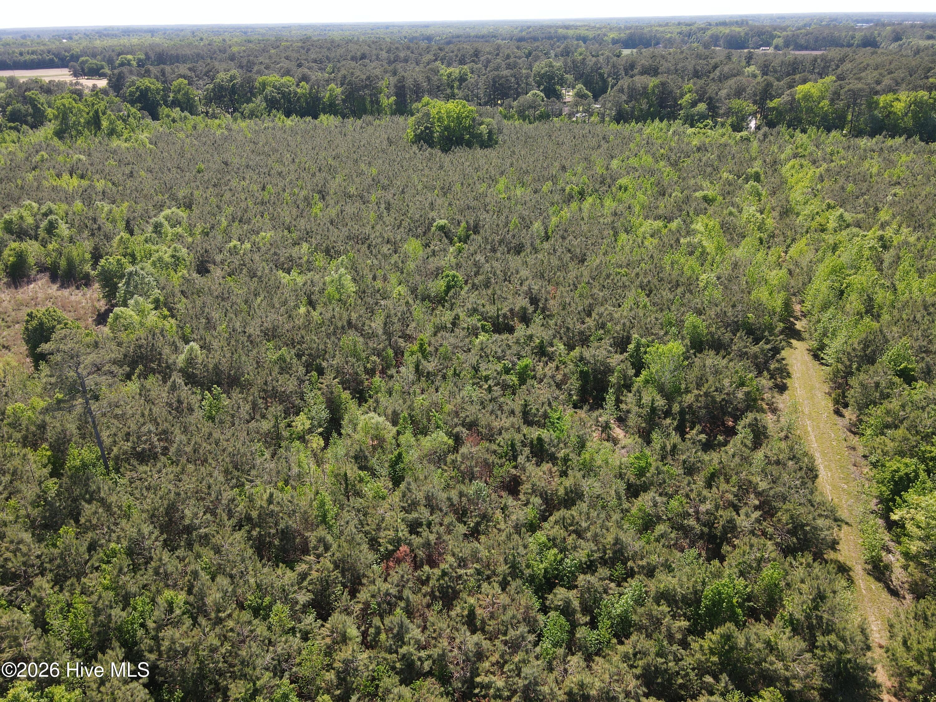 Ahoskie, North Carolina, 27910, United States, ,Land,For Sale,2048833