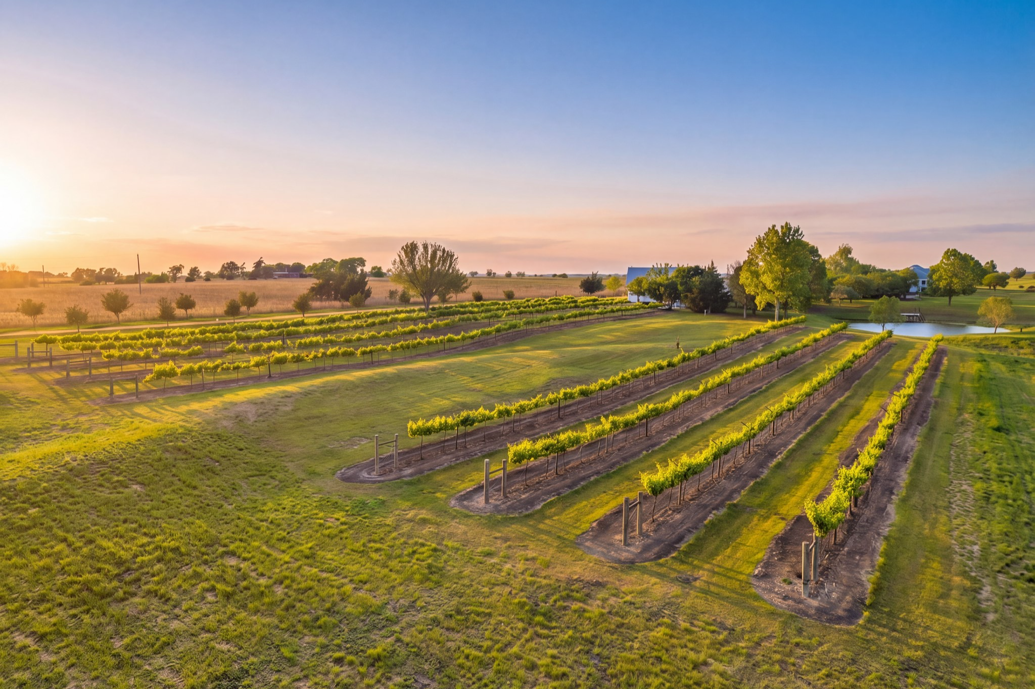  5025 Wickel Road - 物件實景