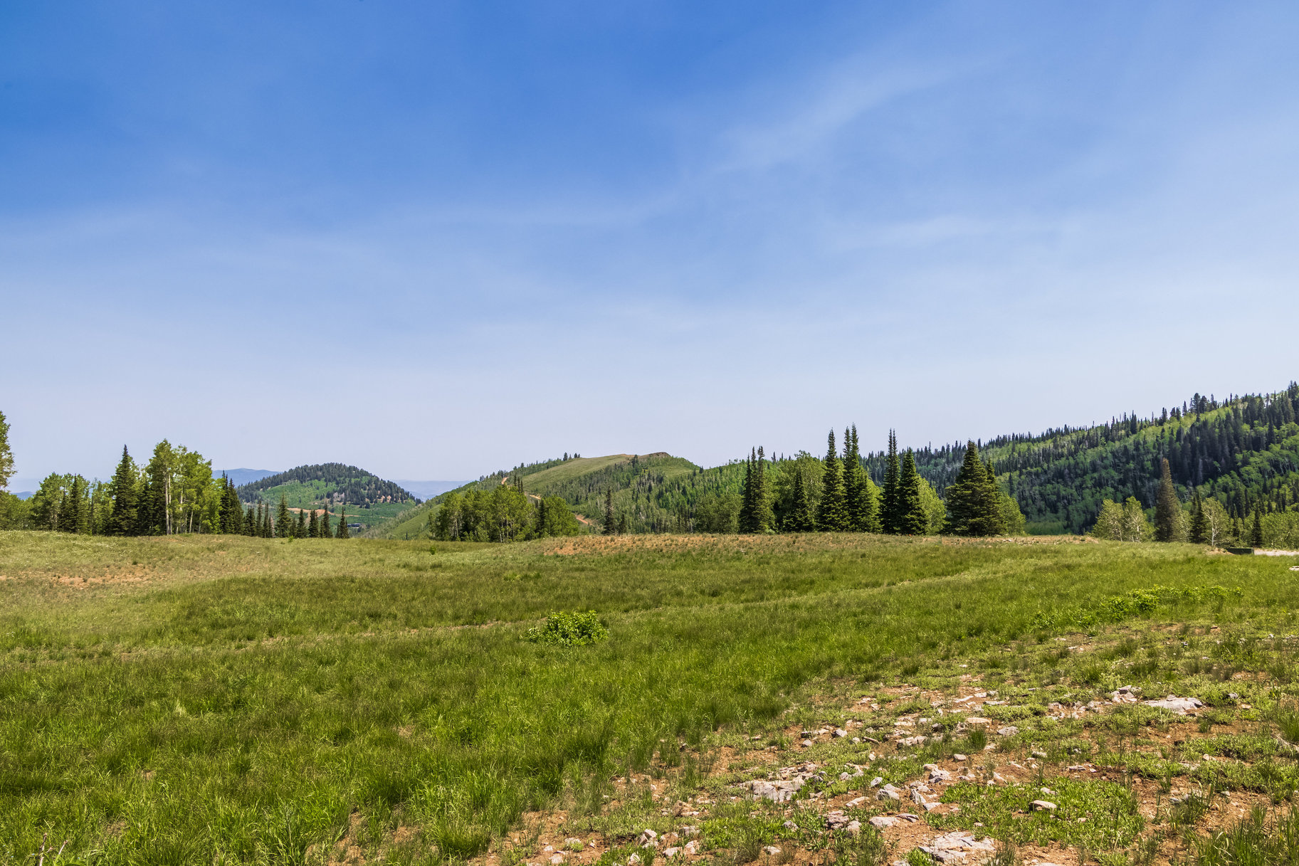  Incredible 28 Acre Estate Lot in the Colony at White Pine Canyon - 物件實景