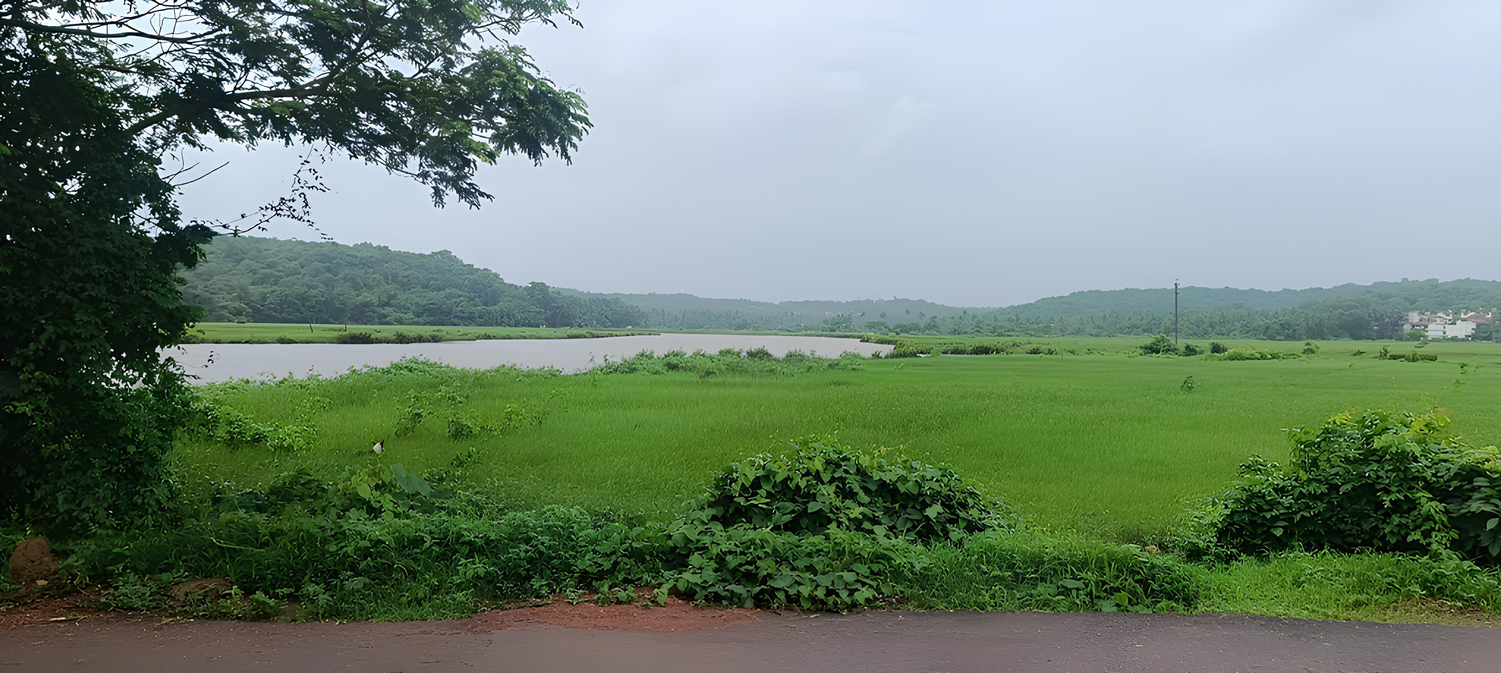  Standalone Villa in Salvador Do Mundo, Goa - 物件實景