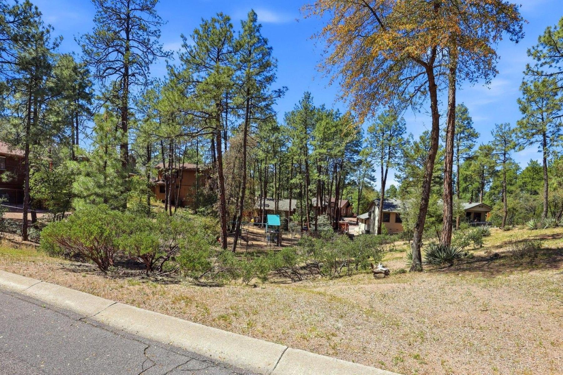  204 N Forest Park Drive  Payson, AZ - 物件實景