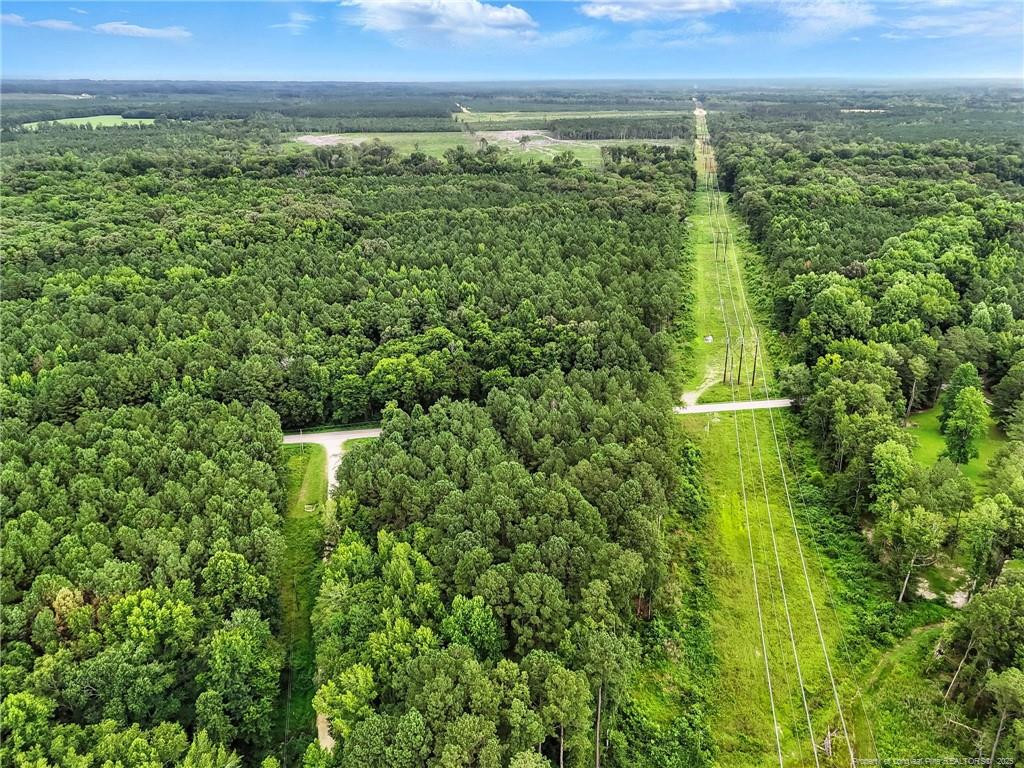 Wade, North Carolina, 28395, United States, ,Land,For Sale,1891652
