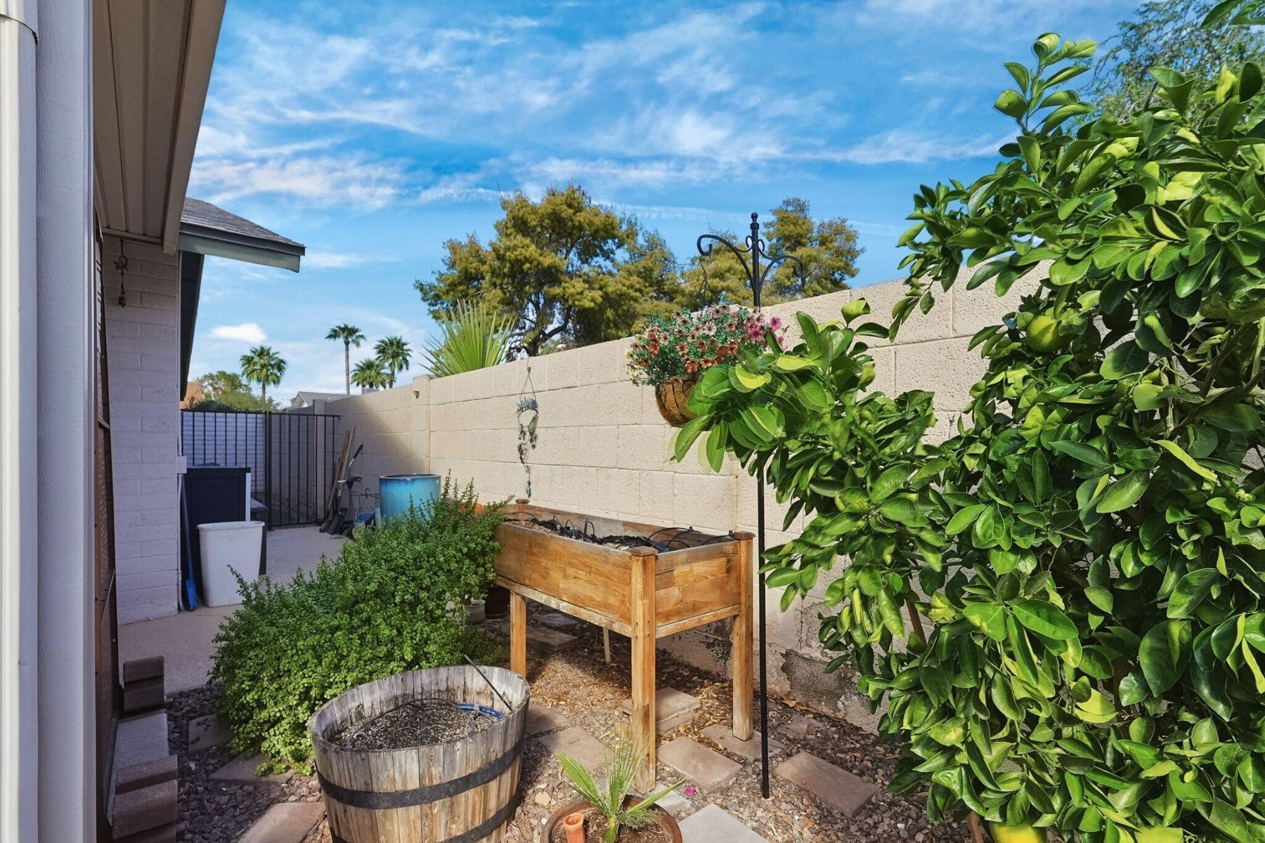  301 E Helena Drive  Phoenix, AZ - 物件實景