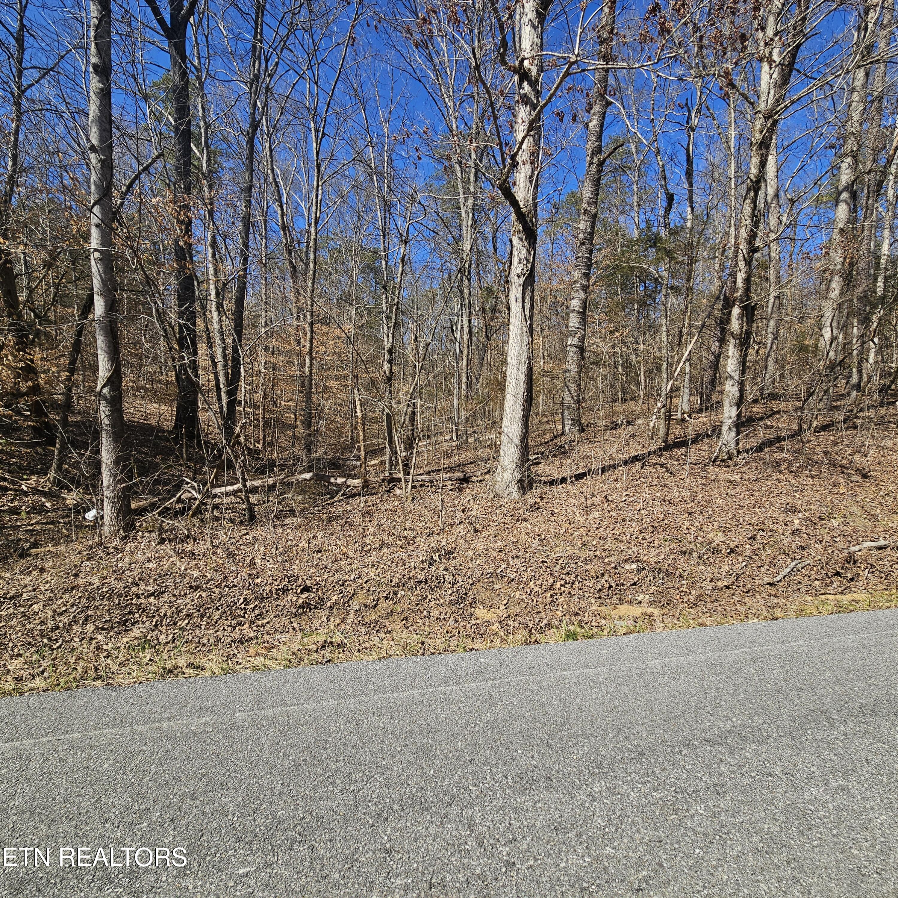 Tellico Plains, Tennessee, 37385, United States, ,Residential,For Sale,1922105