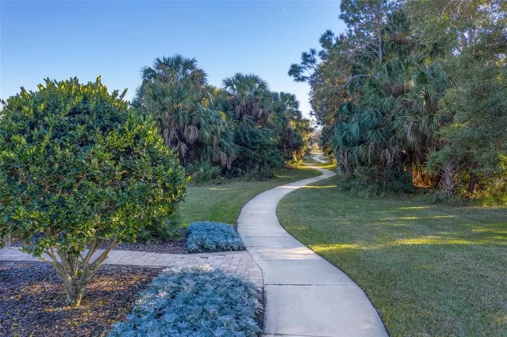 Palm Coast, Florida, 32137, United States, ,Land,For Sale,1723733