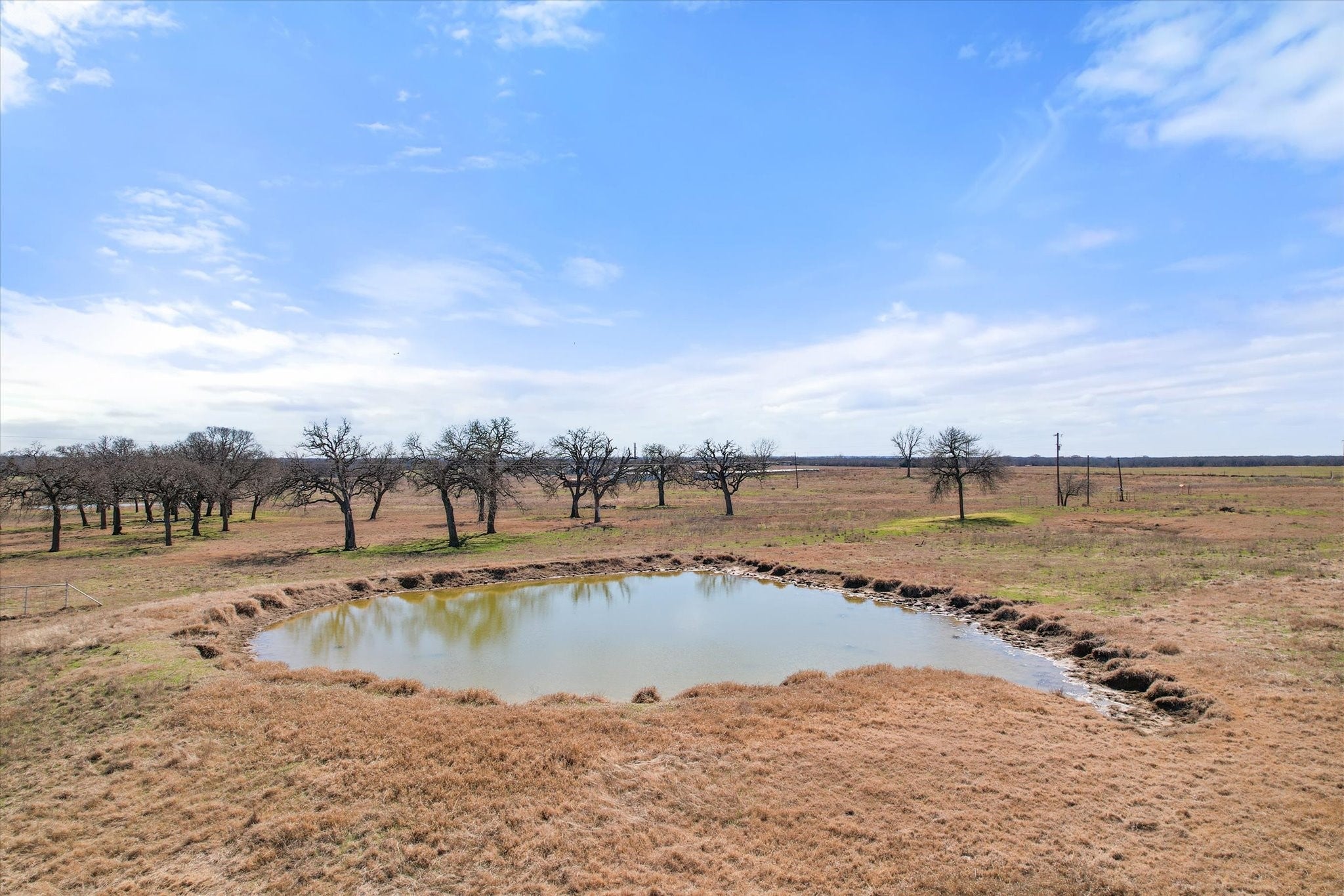Frost, Texas, 76641, United States, ,Land,For Sale,1978385