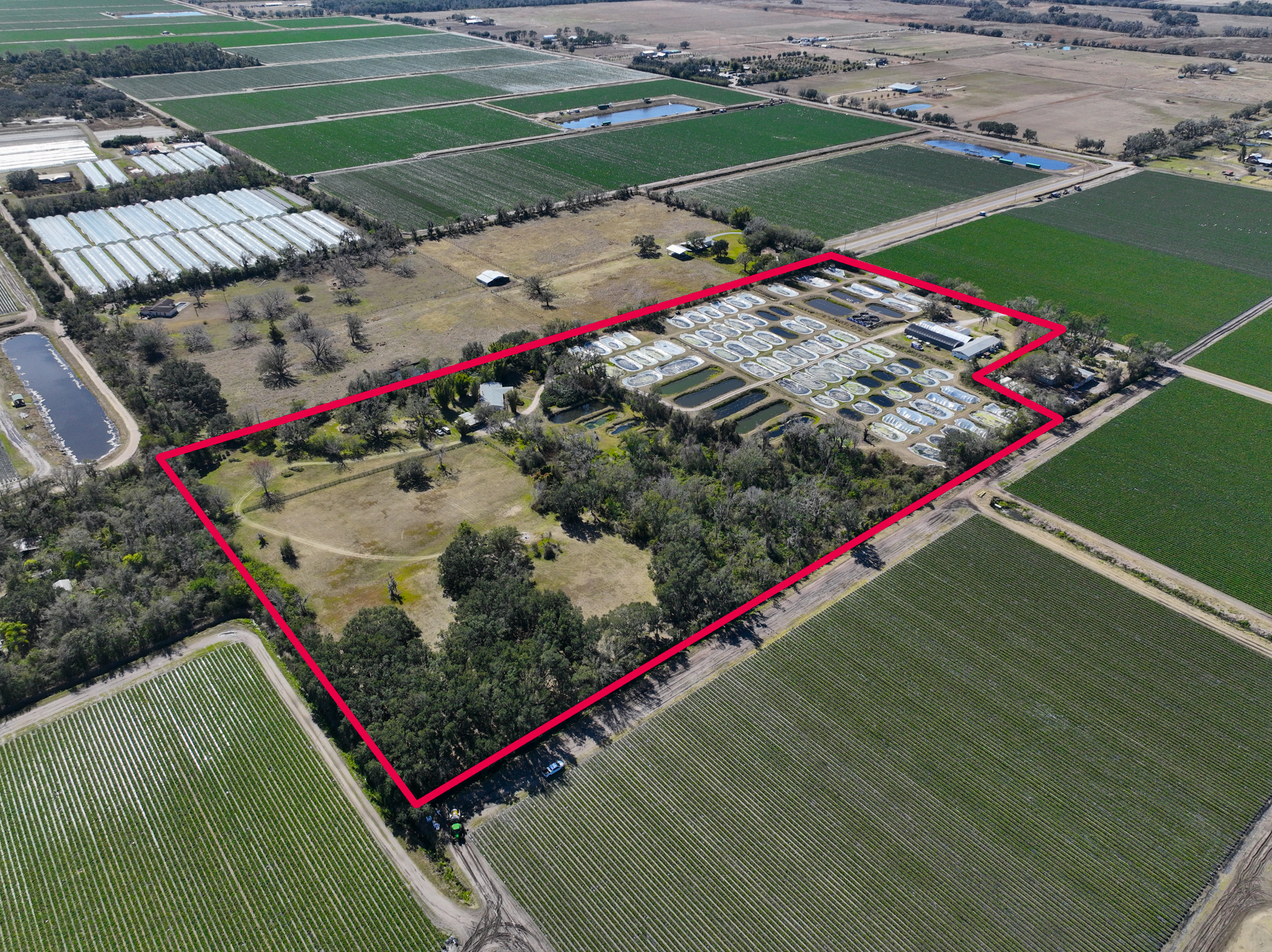 Wimauma, Florida, 33598, United States, 3 Bedrooms Bedrooms, ,2 BathroomsBathrooms,Residential,For Sale,2016610