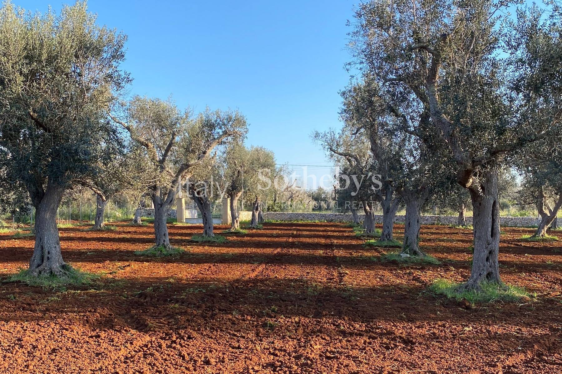  Charming Masseria with Pajare in the Heart of Salento - 物件實景