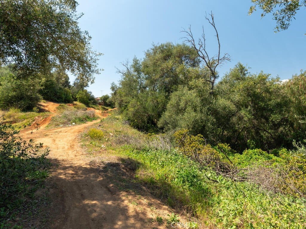Fallbrook, California, 92028, United States, ,Land,For Sale,1805274