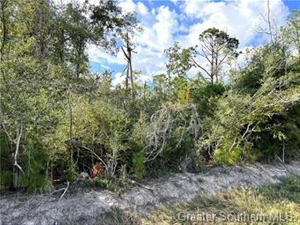 Lake Charles, Louisiana, 70605, United States, ,Land,For Sale,1975596