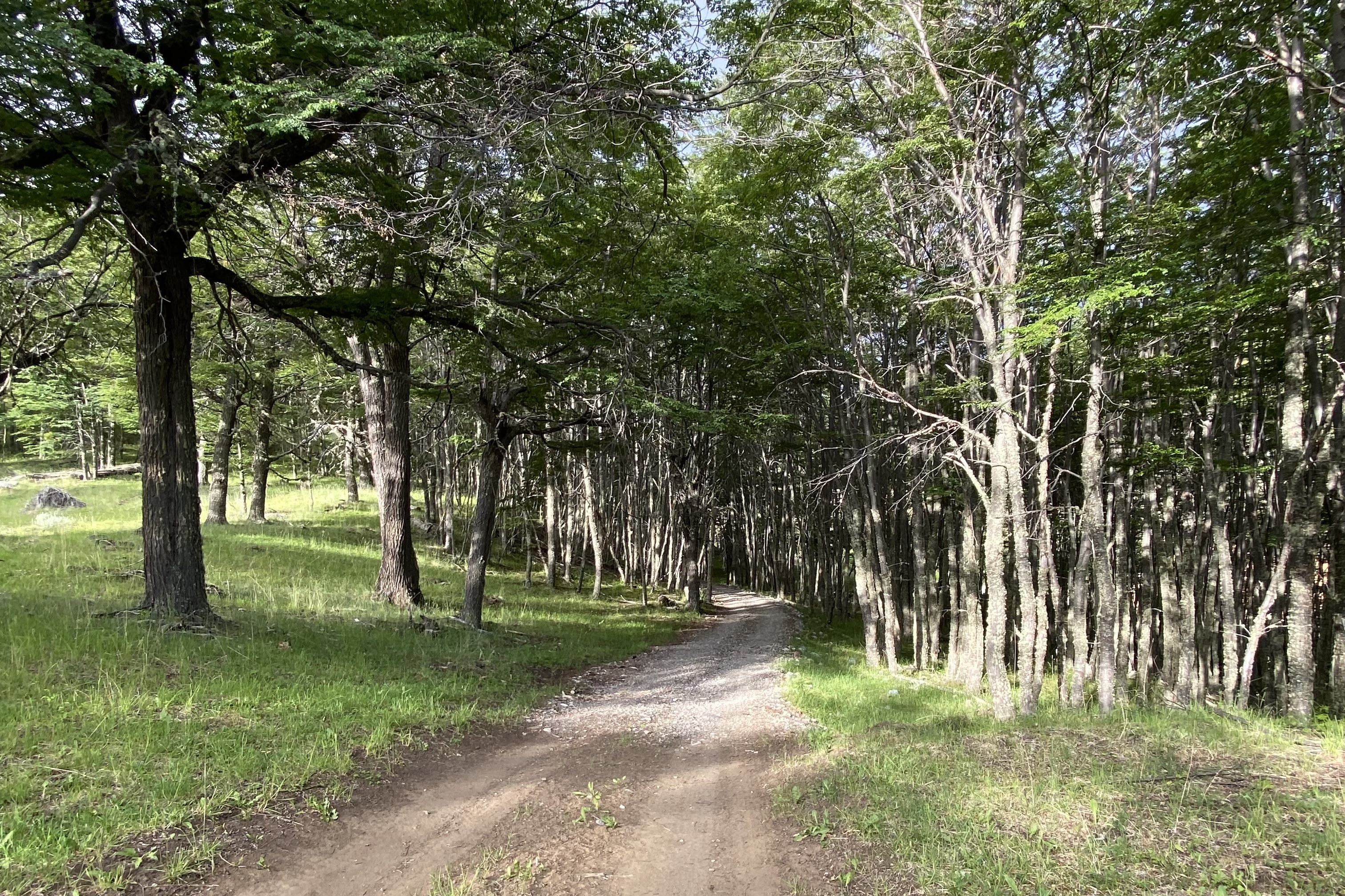  50-Hectare Property Adjacent to Cerro Castillo with 1.3 km of Waterfront - 物件實景