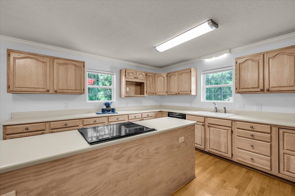 Moore, South Carolina, 29369, United States, 5 Bedrooms Bedrooms, ,4 BathroomsBathrooms,Residential,For Sale,1929120