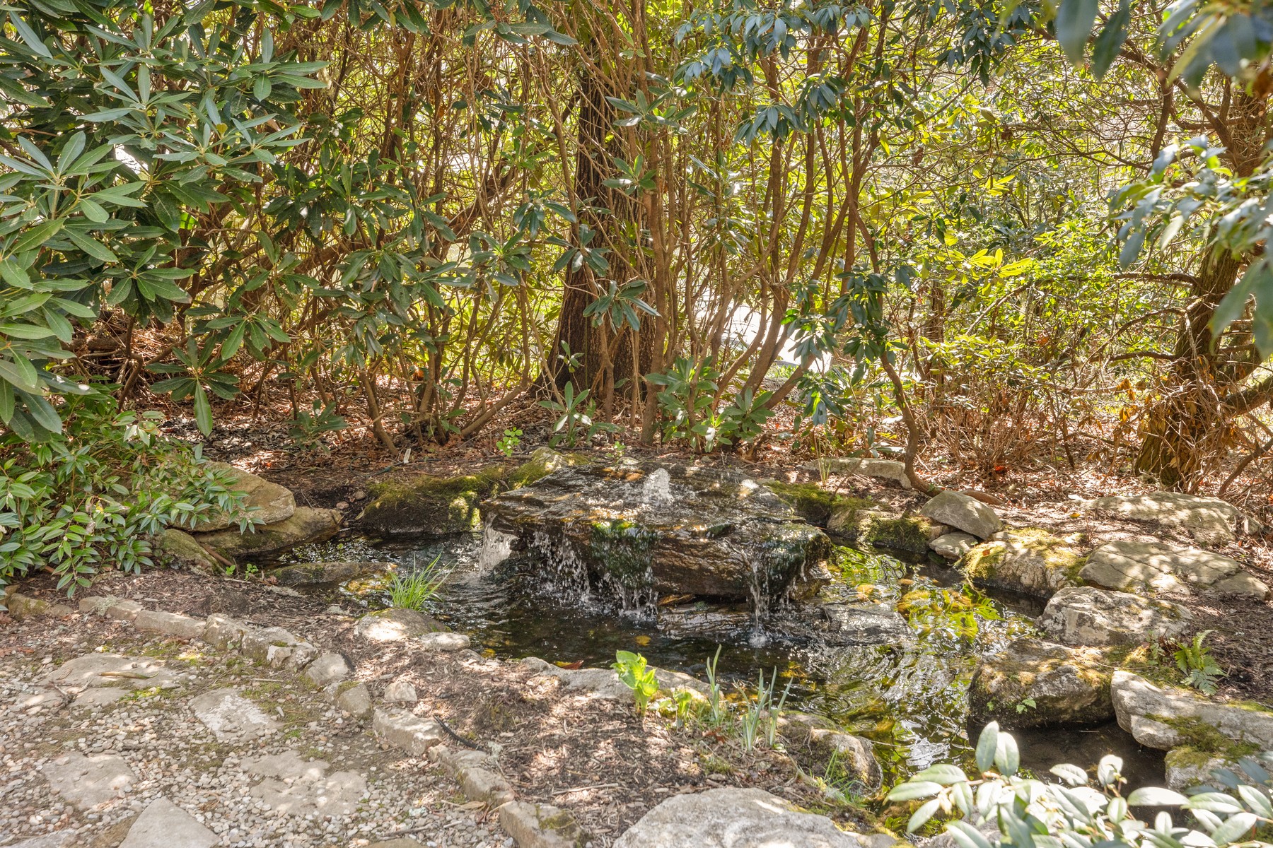  Birdsong - 物件實景