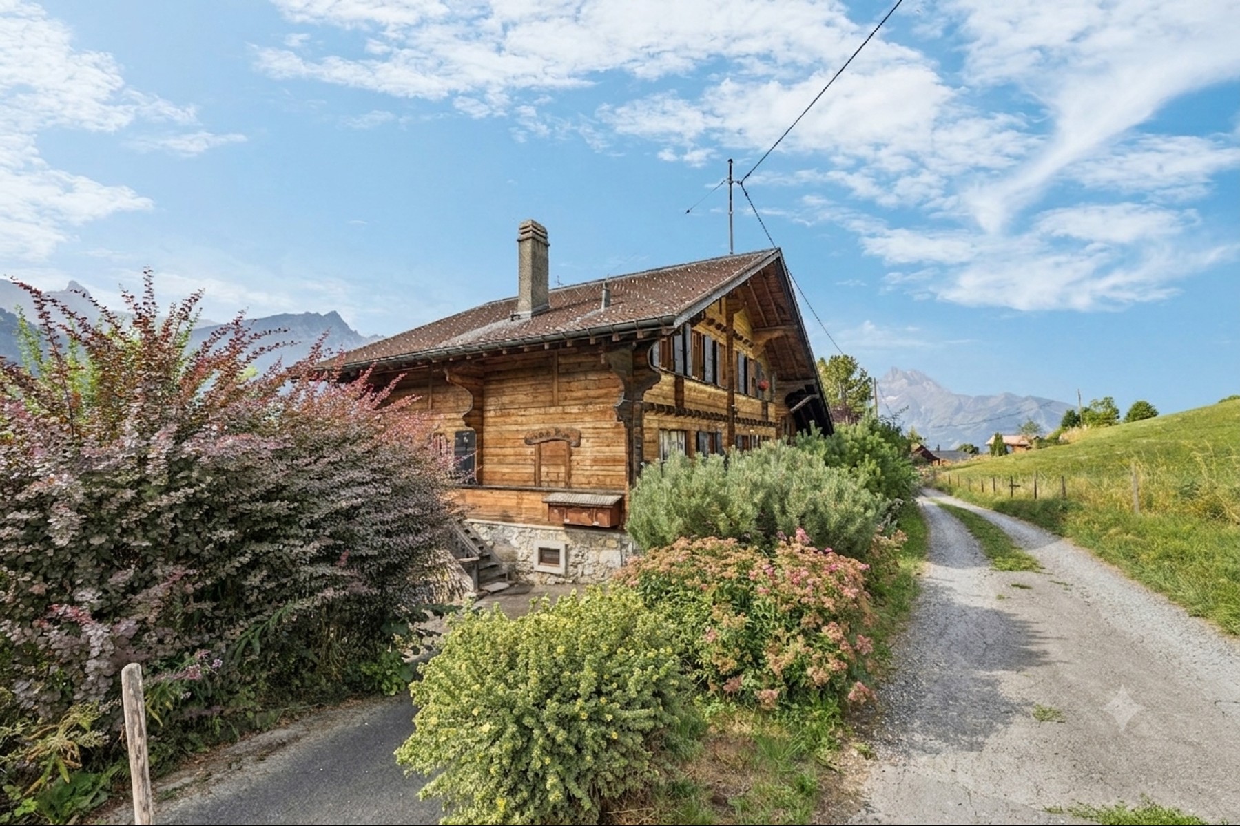  Spacious chalet with 4 apartments, spectacular views, and a large garden - 物件實景