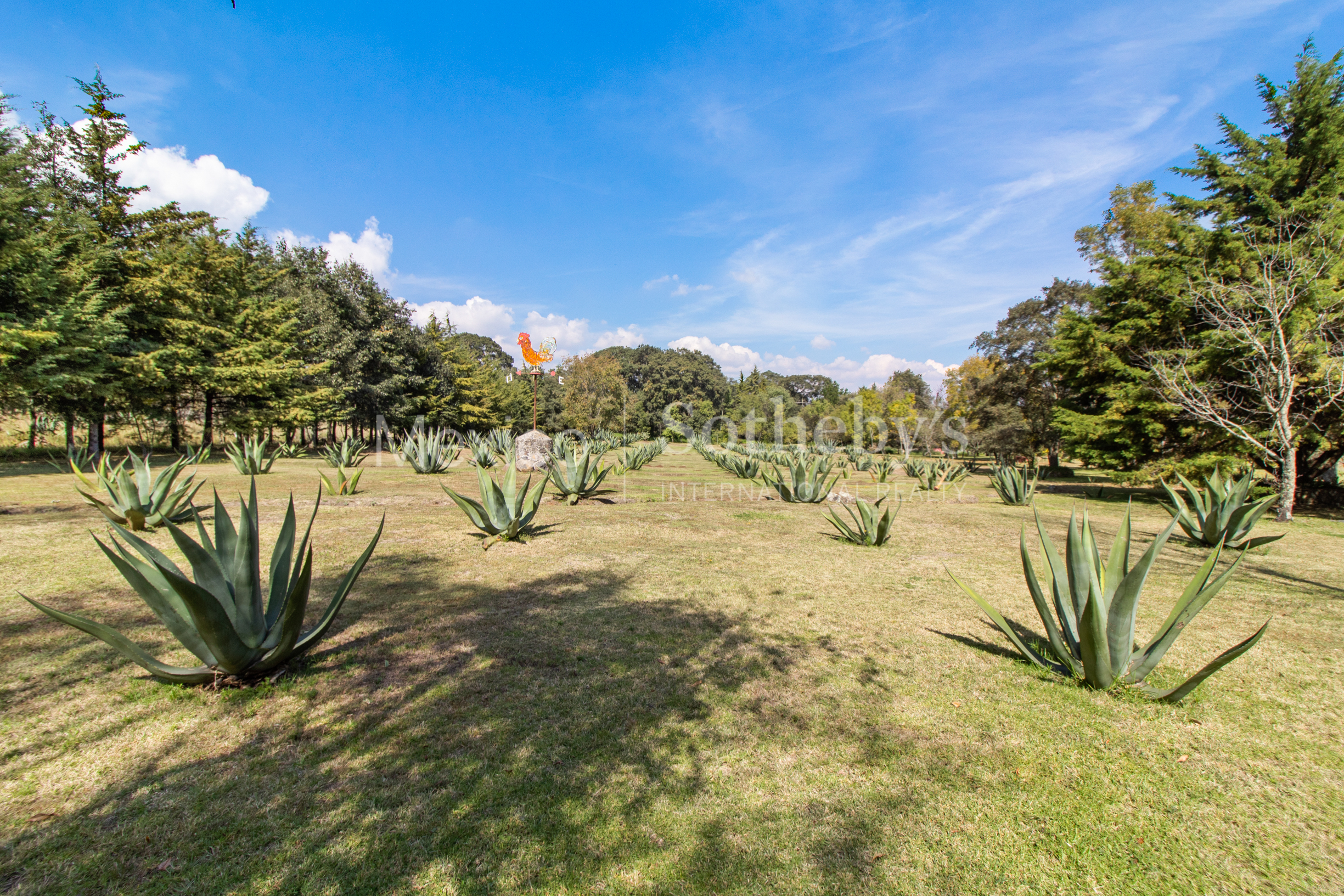  Rancho Los Muros - 物件實景