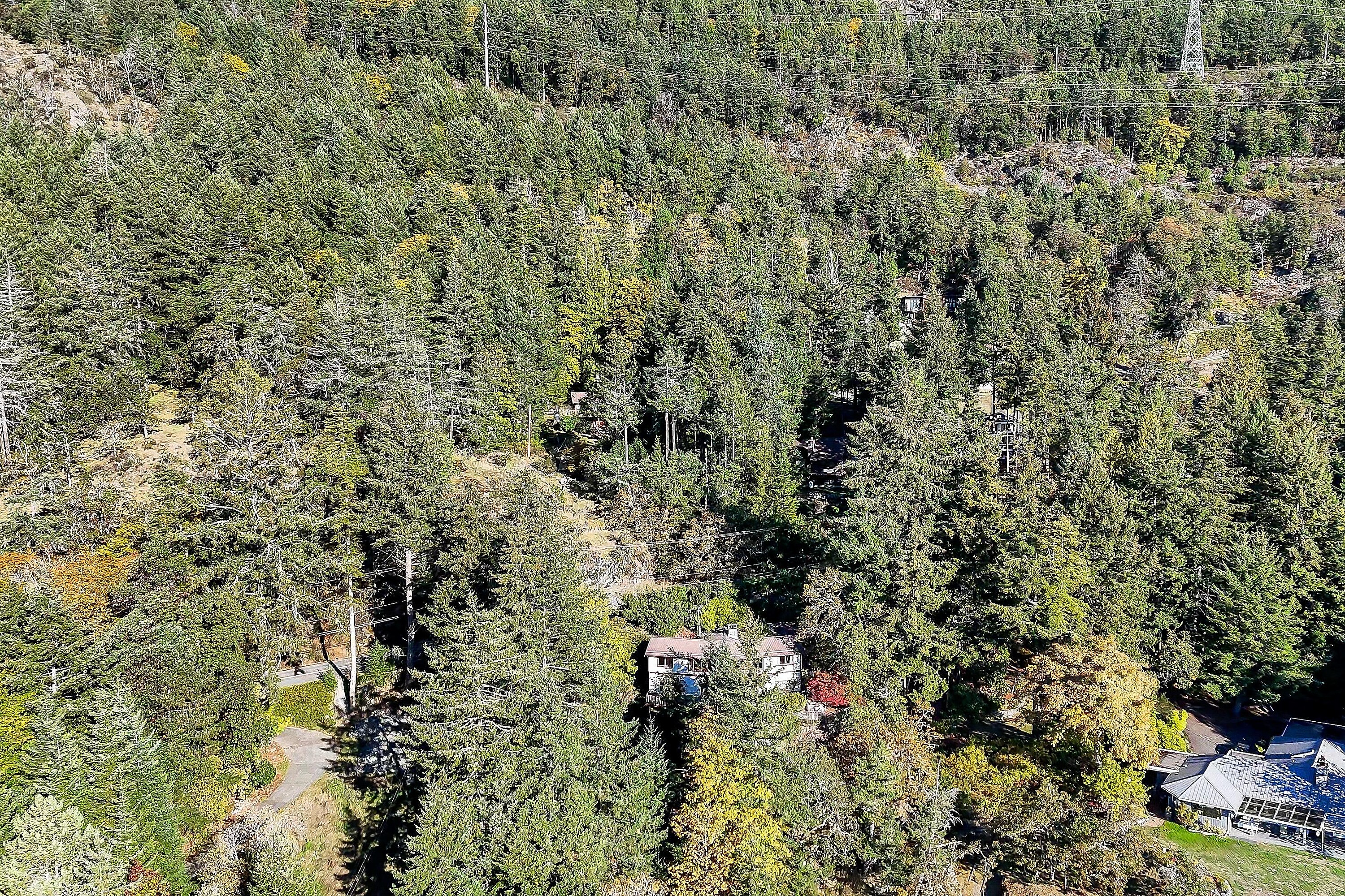  Beautiful Maple Bay - 物件實景