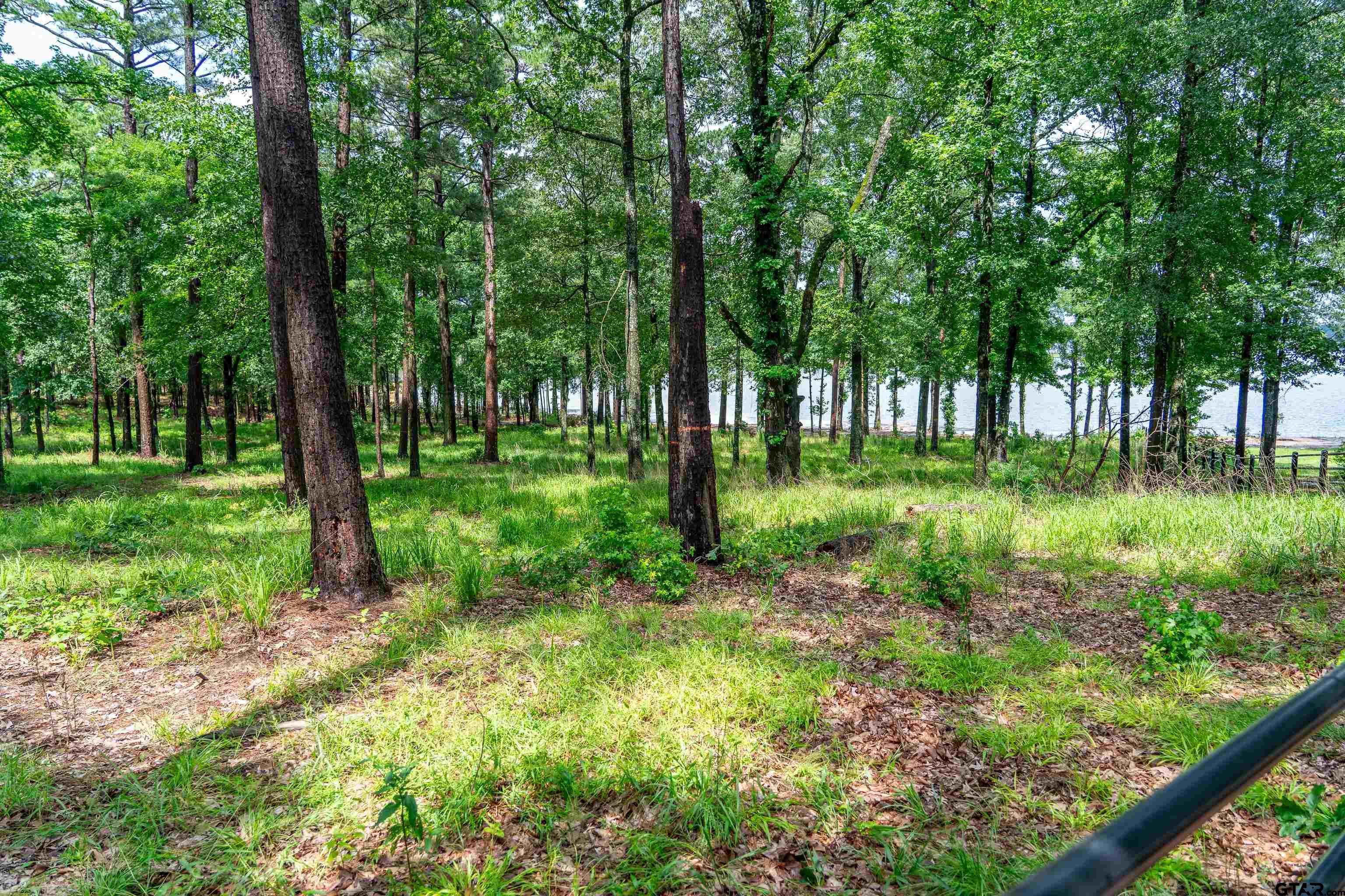 Scroggins, Texas, 75480, United States, ,Land,For Sale,1975863