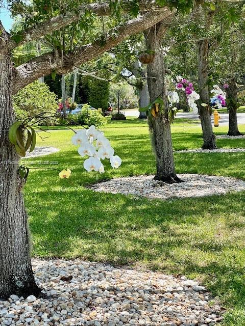 Palmetto Bay, Florida, 33158, United States, 4 Bedrooms Bedrooms, ,3 BathroomsBathrooms,Residential,For Sale,1995550