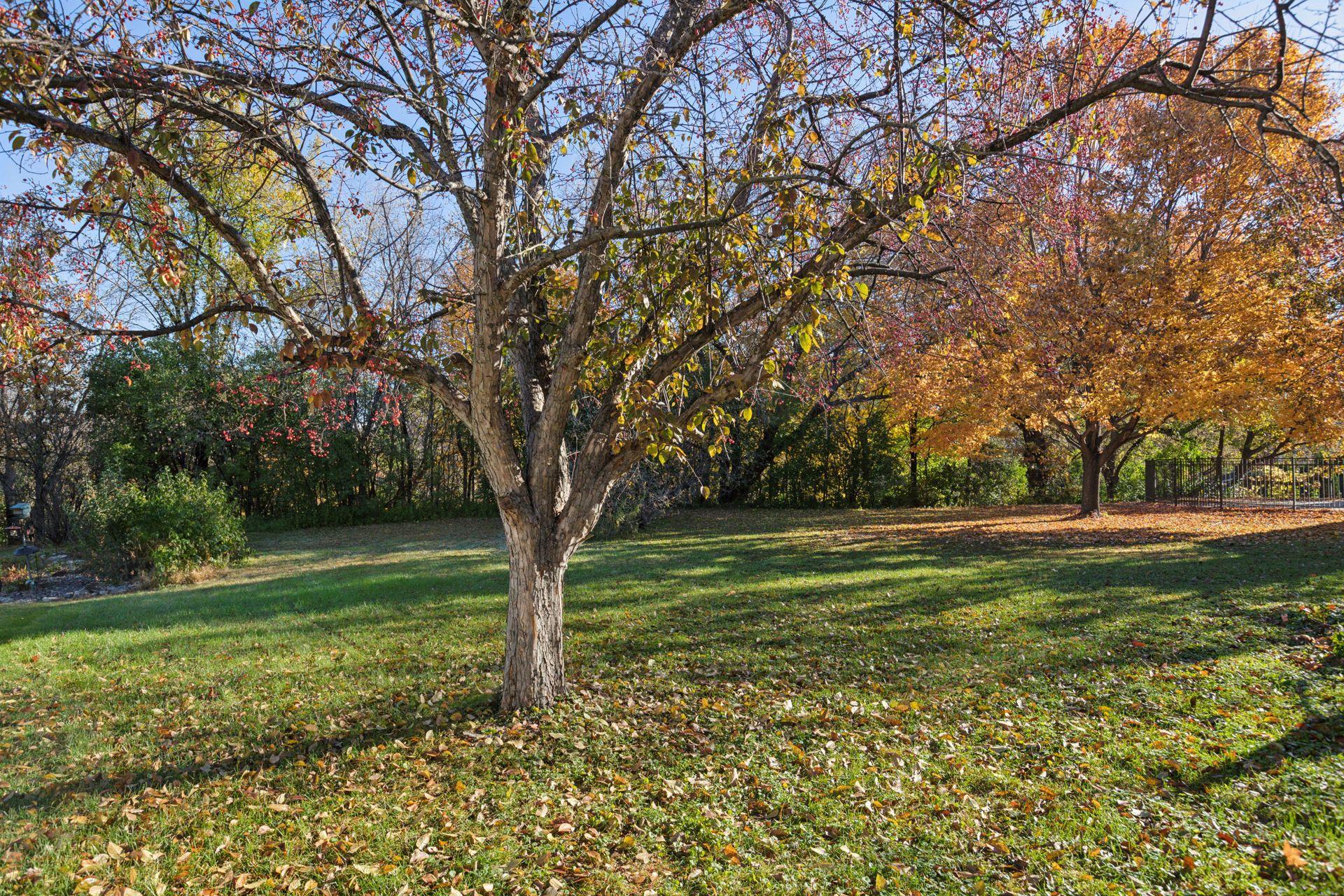 Maple Grove, Minnesota, 55311, United States, 4 Bedrooms Bedrooms, ,3 BathroomsBathrooms,Residential,For Sale,1970714