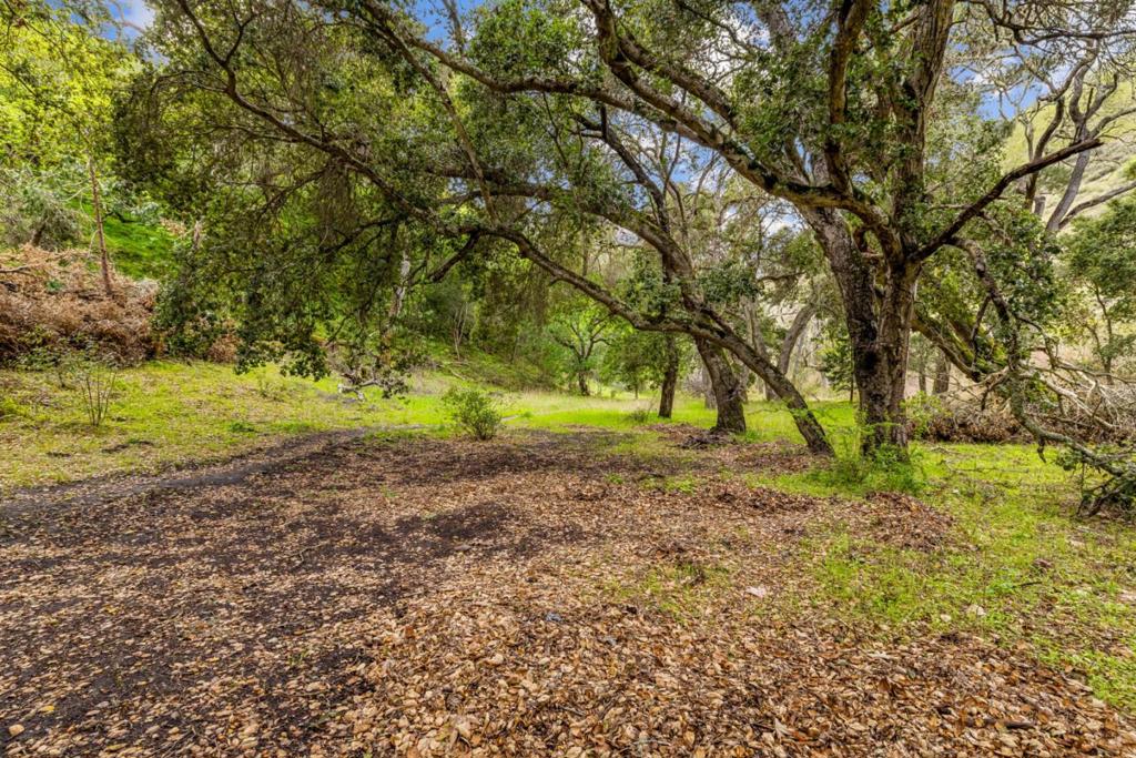 Salinas, California, 93908, United States, ,Residential,For Sale,1974881