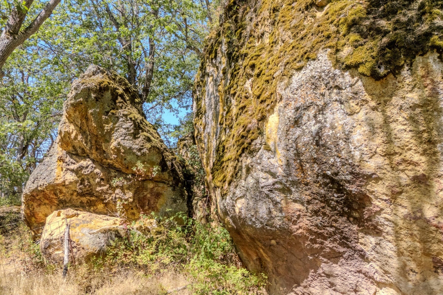  688 Worthington Road Eagle Point, OR 97524 - 物件實景
