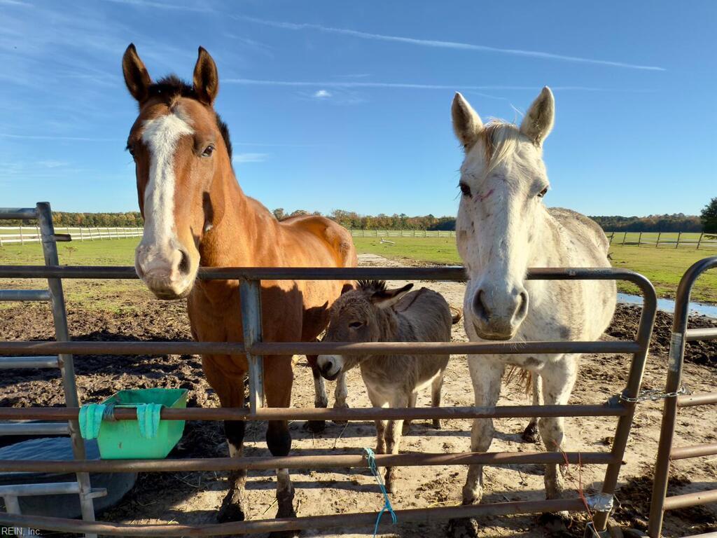 Virginia Beach Va, Virginia, 23457, United States, 4 Bedrooms Bedrooms, ,3 BathroomsBathrooms,Residential,For Sale,1989088