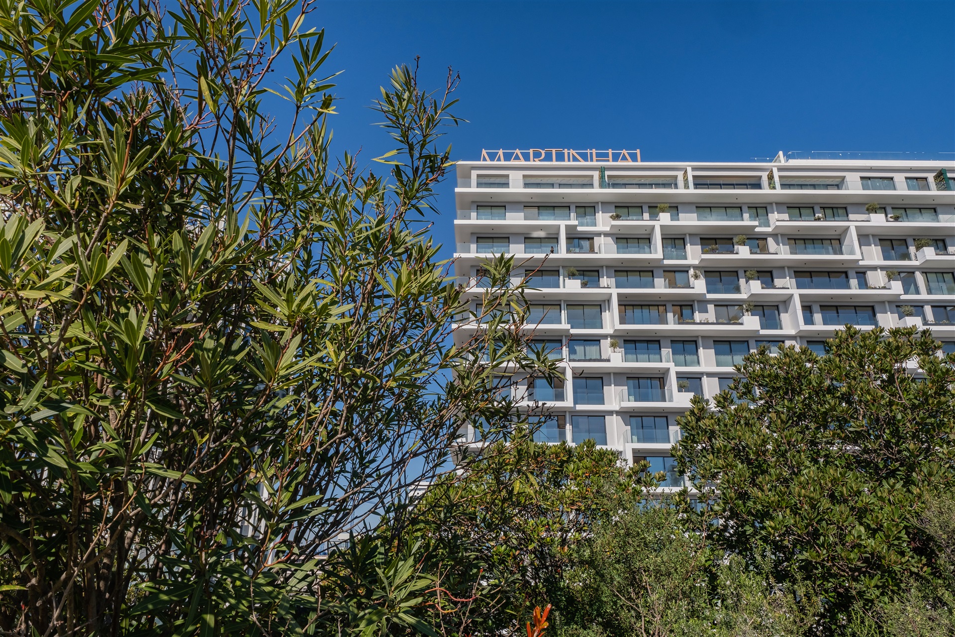  Flat, 3 bedrooms, for Sale - 物件實景