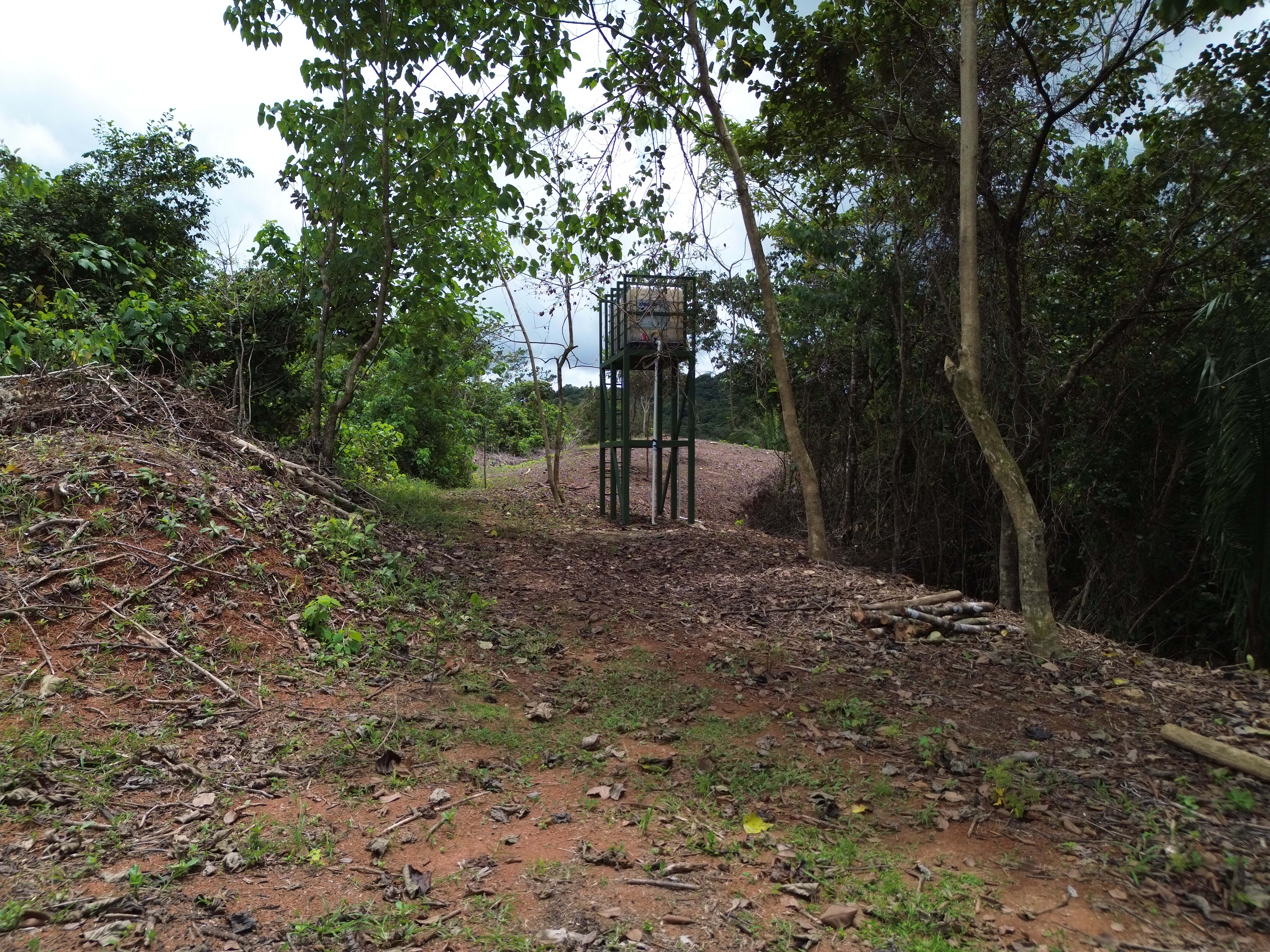 Palmar Norte, Palmar, Puntarenas, CR, ,Land,For Sale,Palmar Norte,1667866
