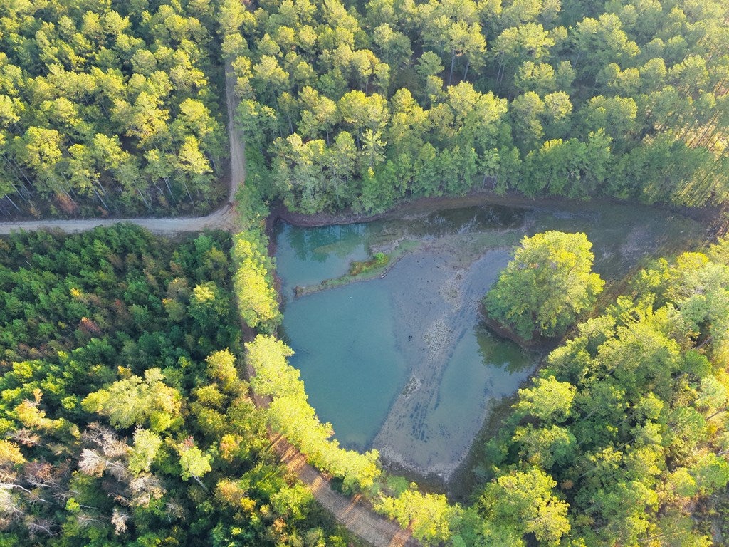 Abbeville, Georgia, 31001, United States, ,Land,For Sale,1975130