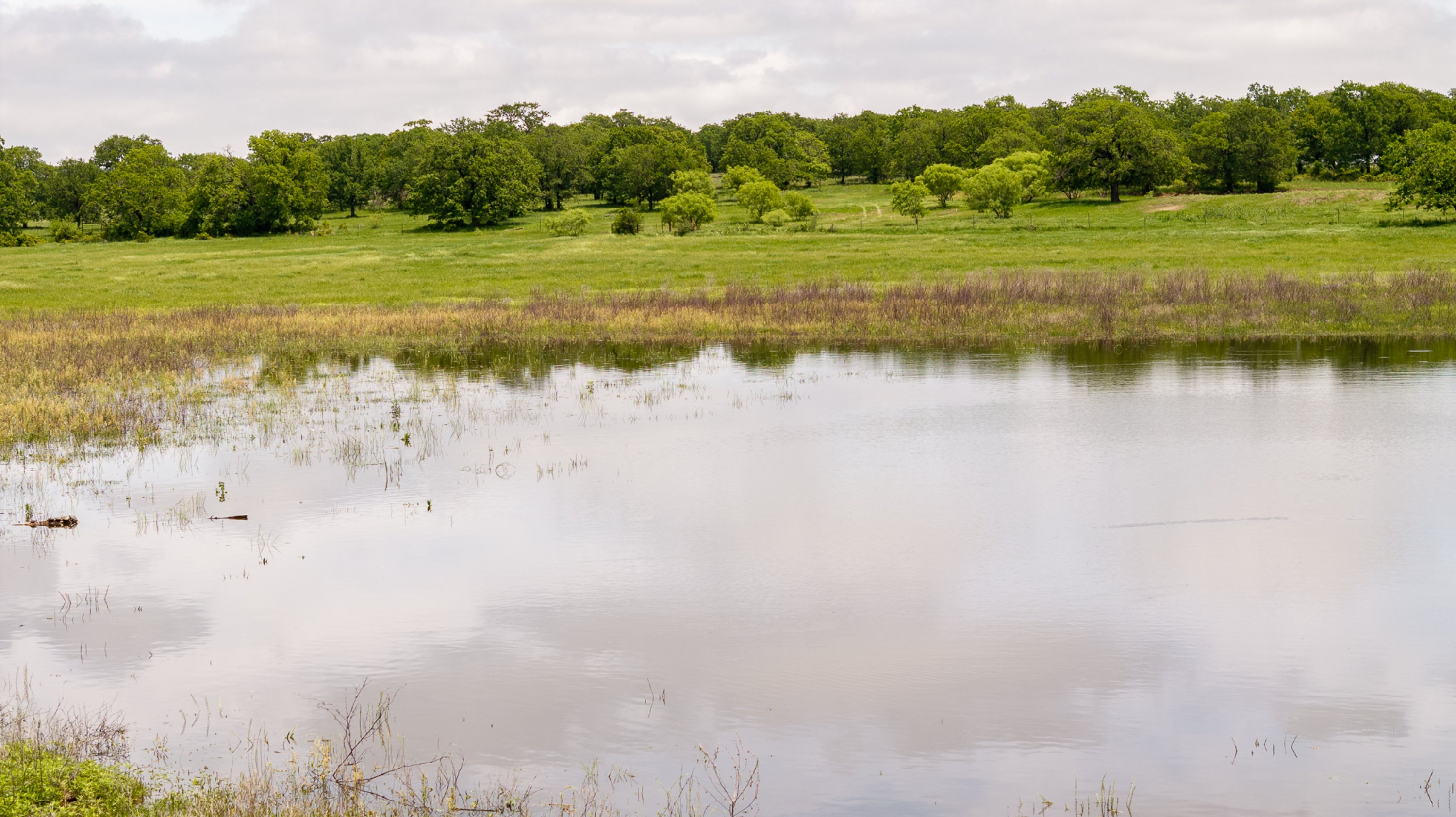  Rolling Oaks Ranch - 物件實景
