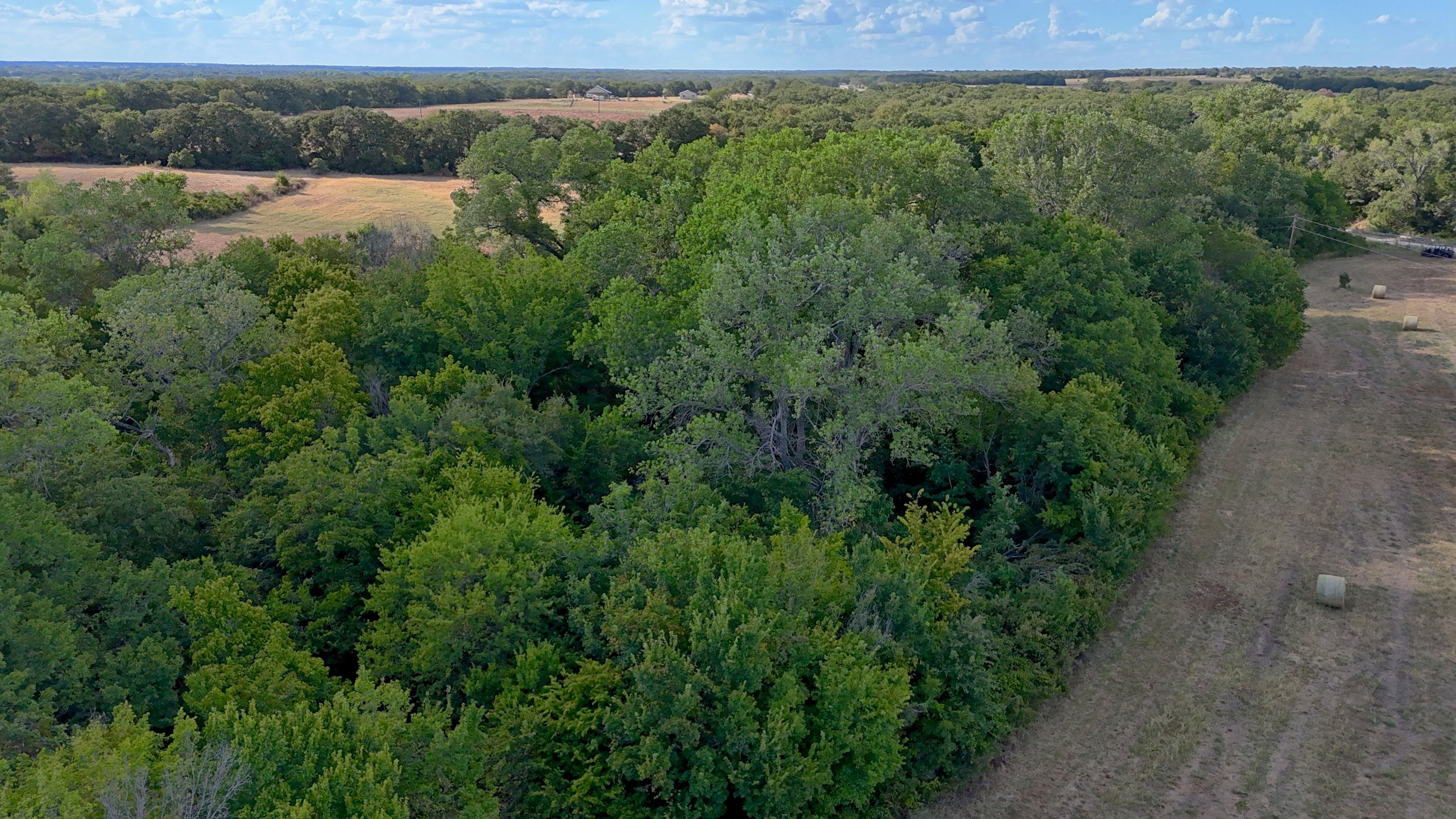  0 Deen Road, Bowie, TX, 76230 - 物件實景