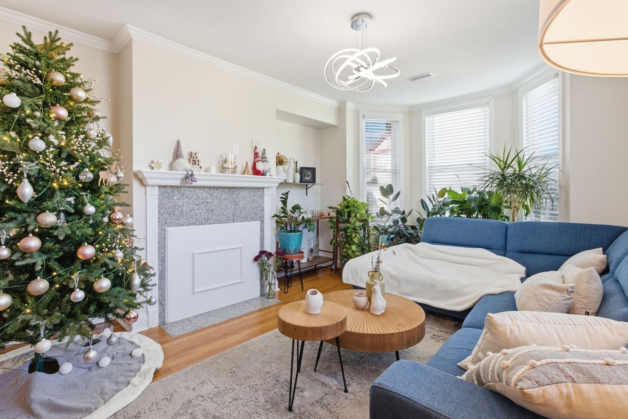 Boston, Massachusetts, 02121, United States, 5 Bedrooms Bedrooms, ,2 BathroomsBathrooms,Residential,For Sale,1993888