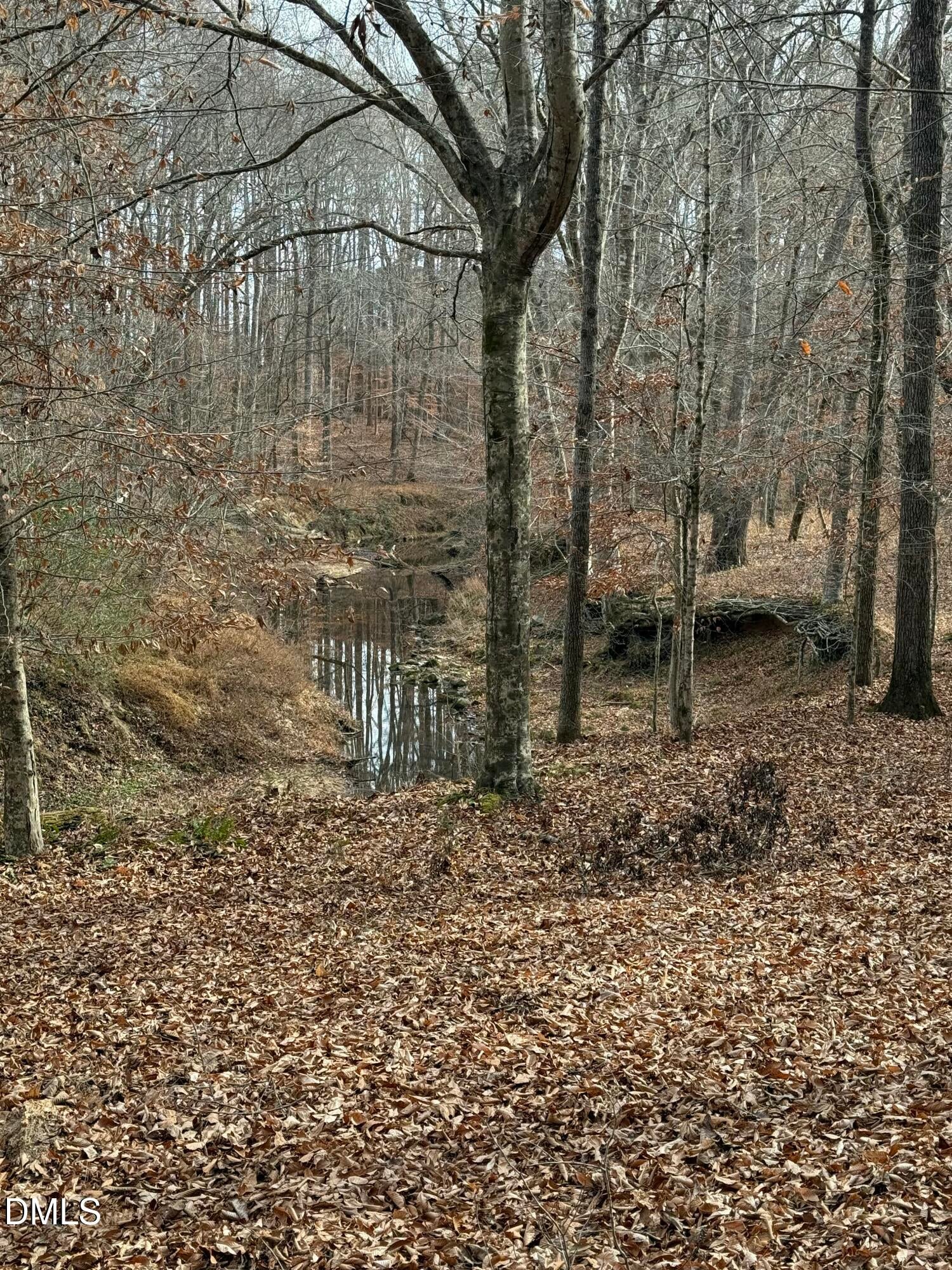 Oxford, North Carolina, 27565, United States, ,Land,For Sale,2000467