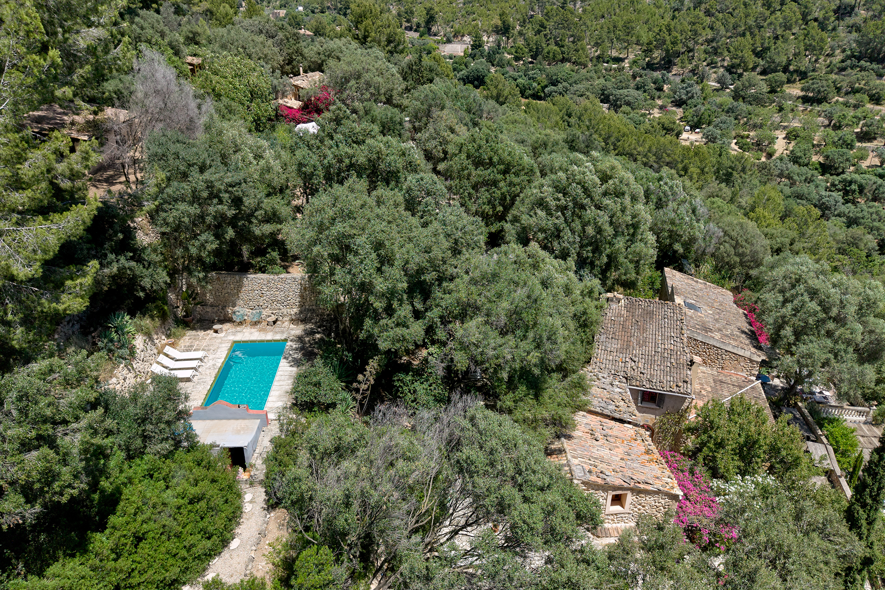  Estate with pool and jacuzzi in Andratx - 物件實景