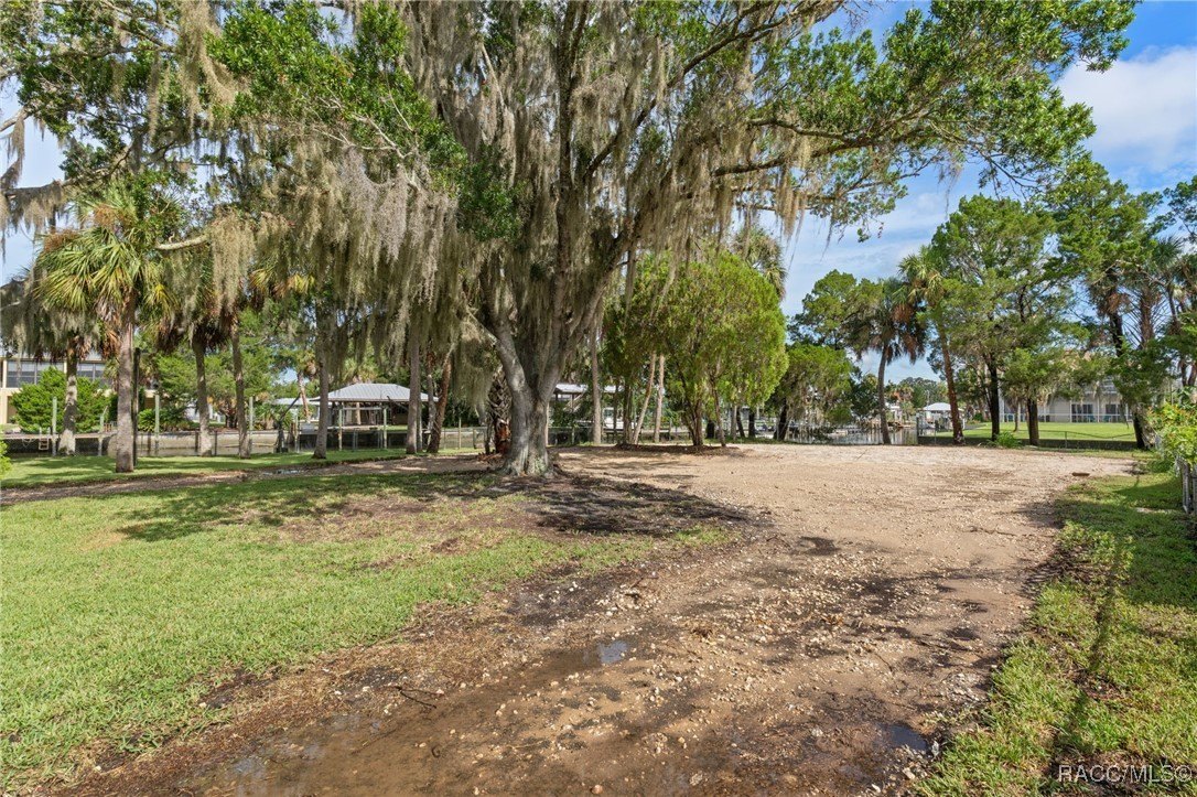 Crystal River, Florida, 34428, United States, ,Land,For Sale,1977992
