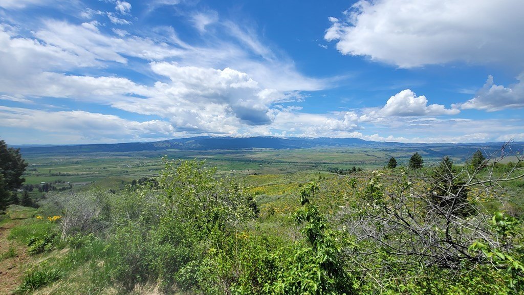 Council, Idaho, 83612, United States, 3 Bedrooms Bedrooms, ,2 BathroomsBathrooms,Residential,For Sale,1980798